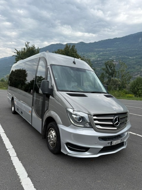 MERCEDES-BENZ 519 BT bus 17 places-image-0