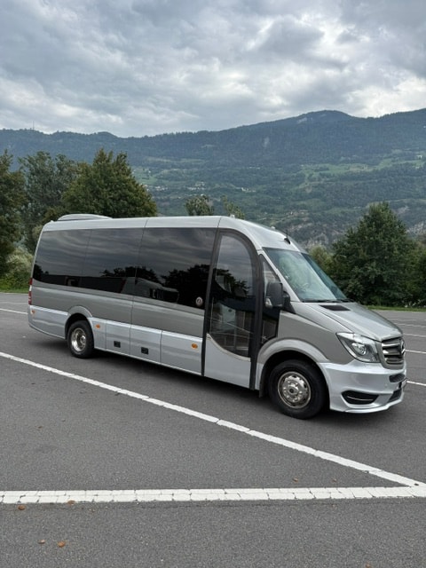 MERCEDES-BENZ 519 BT bus 17 places-image-2