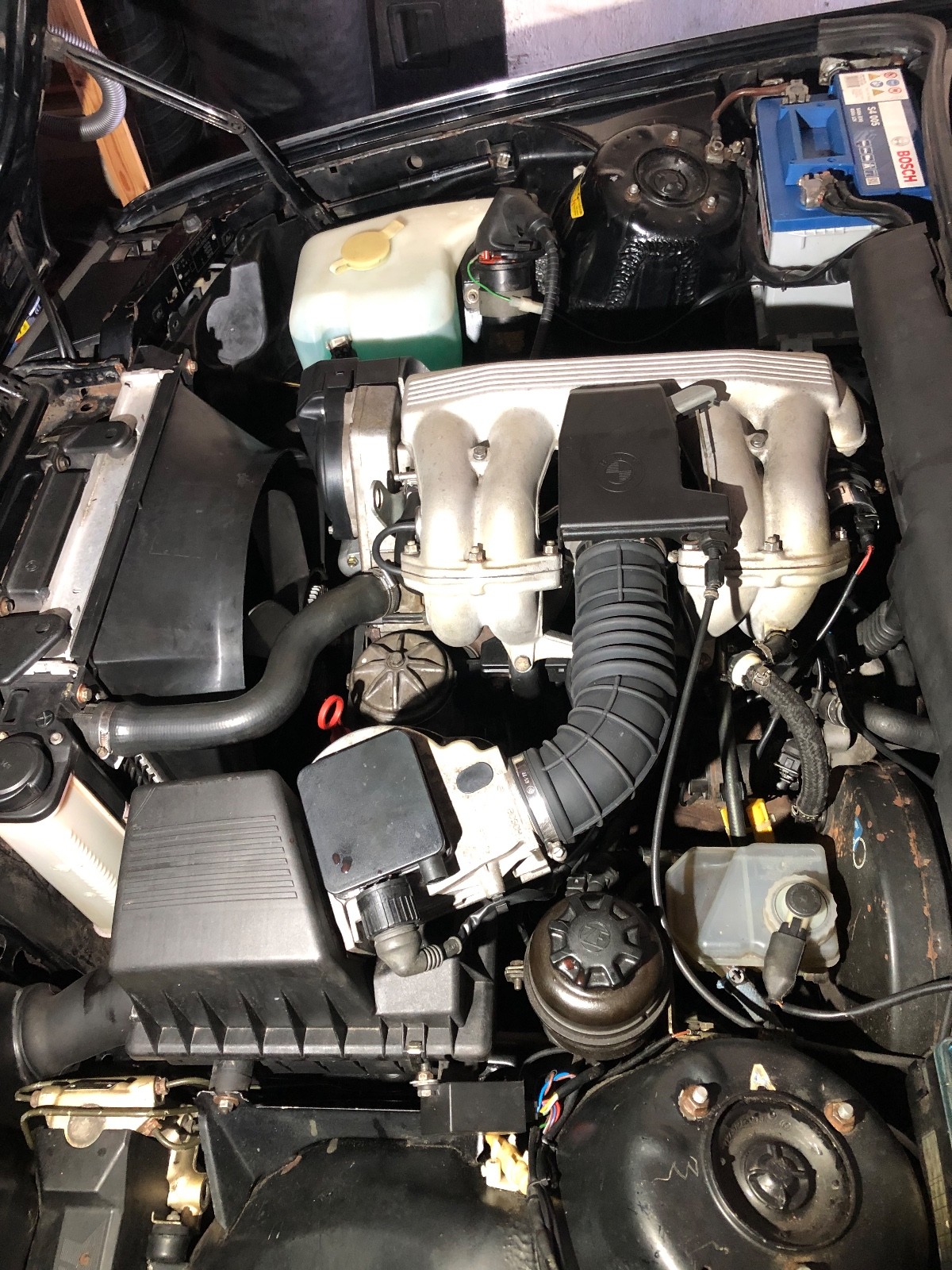 BMW E30-image-1