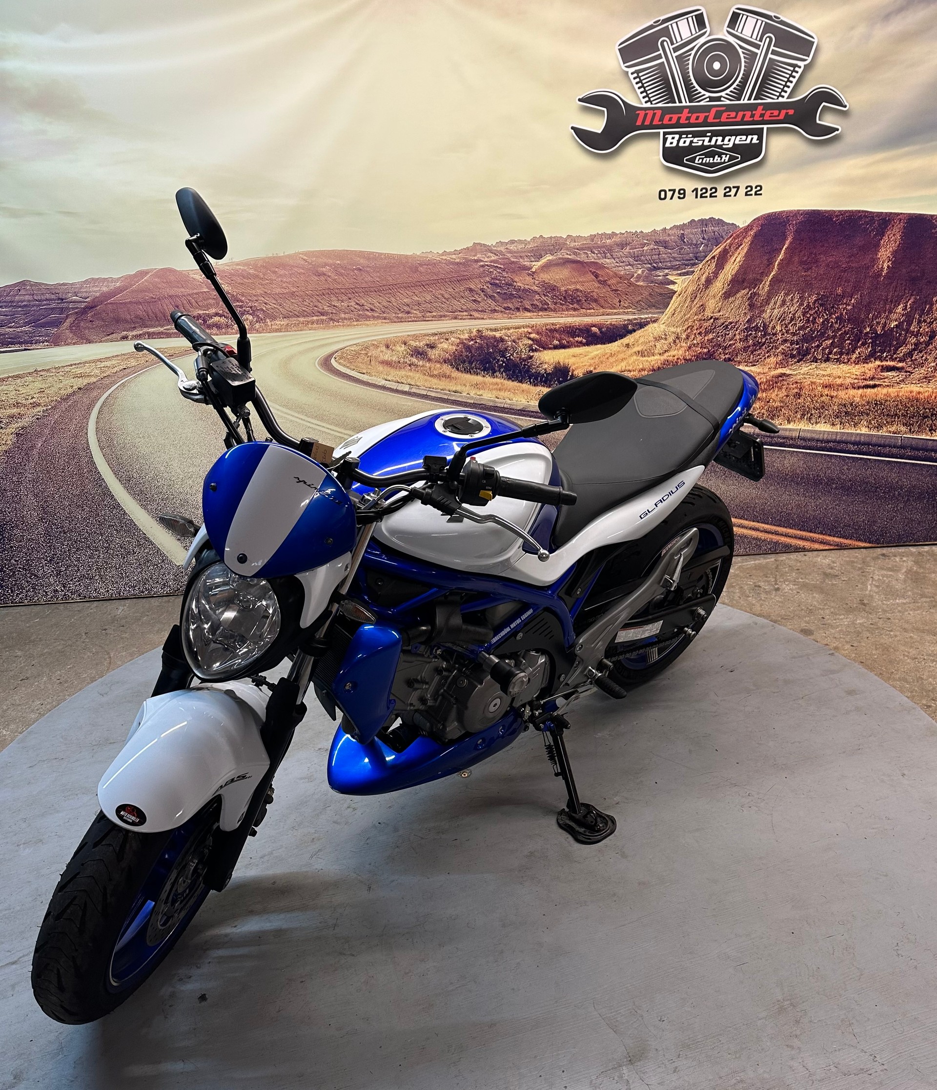SUZUKI SFV 650 Gladius ABS Sportauspuff-showroom-element-3