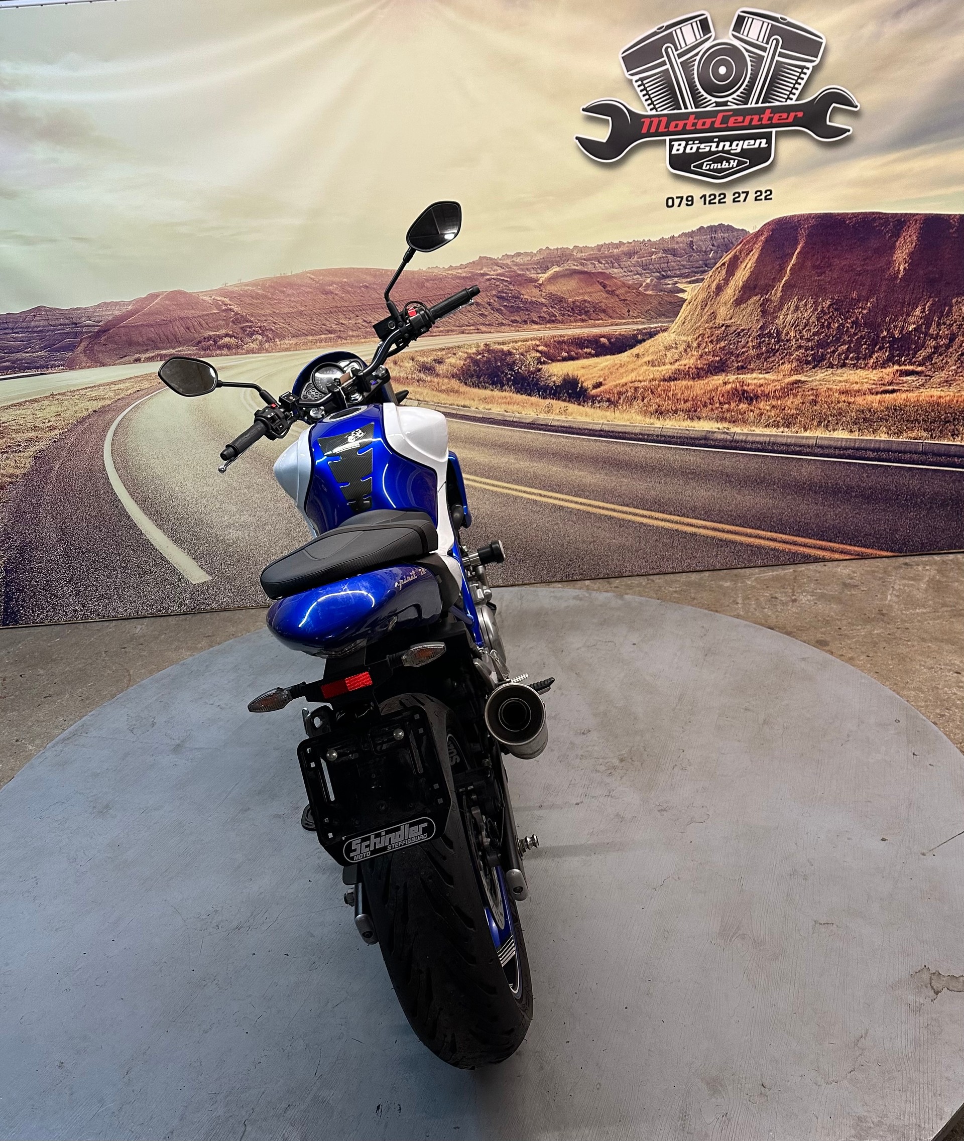 SUZUKI SFV 650 Gladius ABS Sportauspuff-image-6