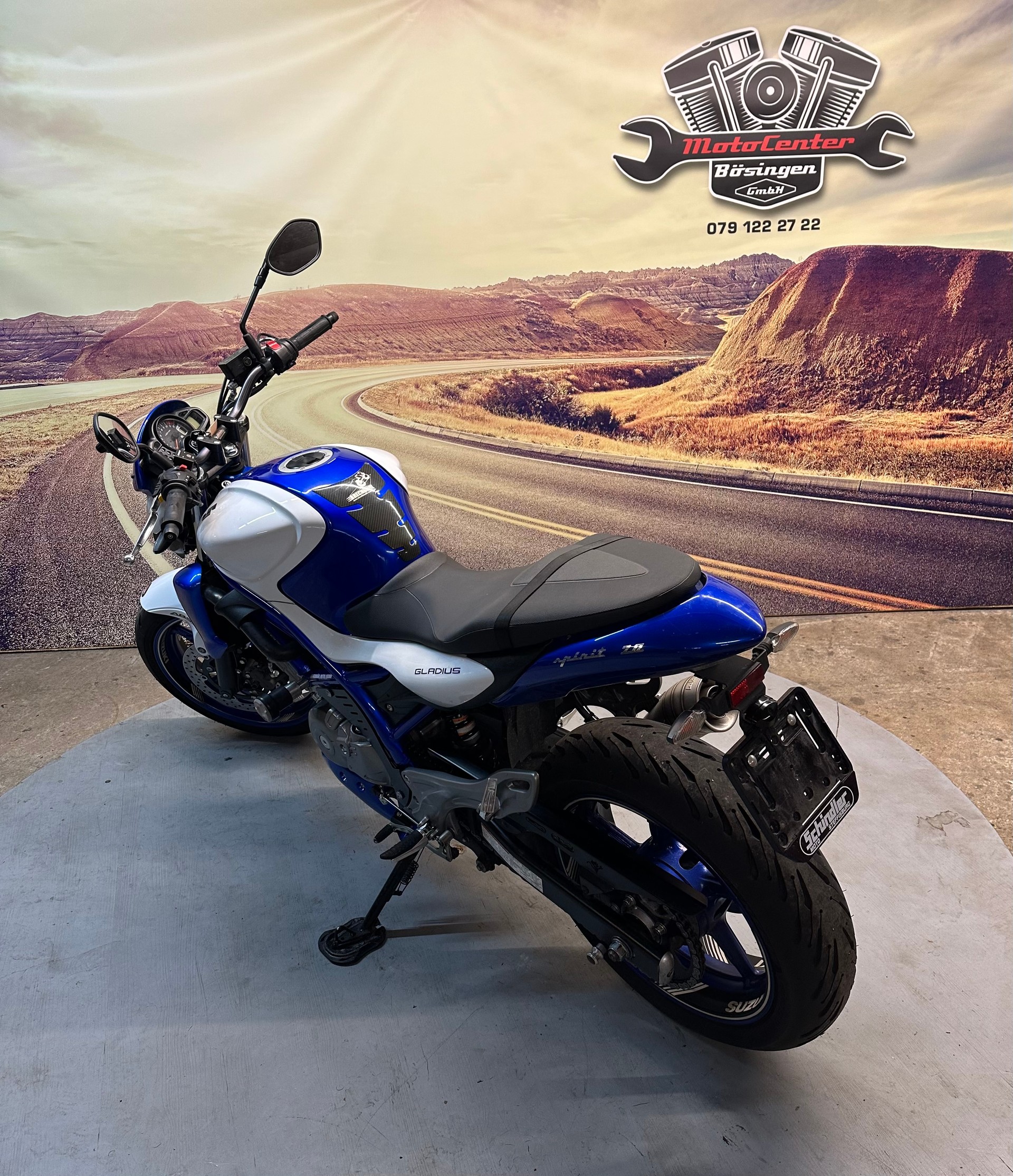 SUZUKI SFV 650 Gladius ABS Sportauspuff-image-7