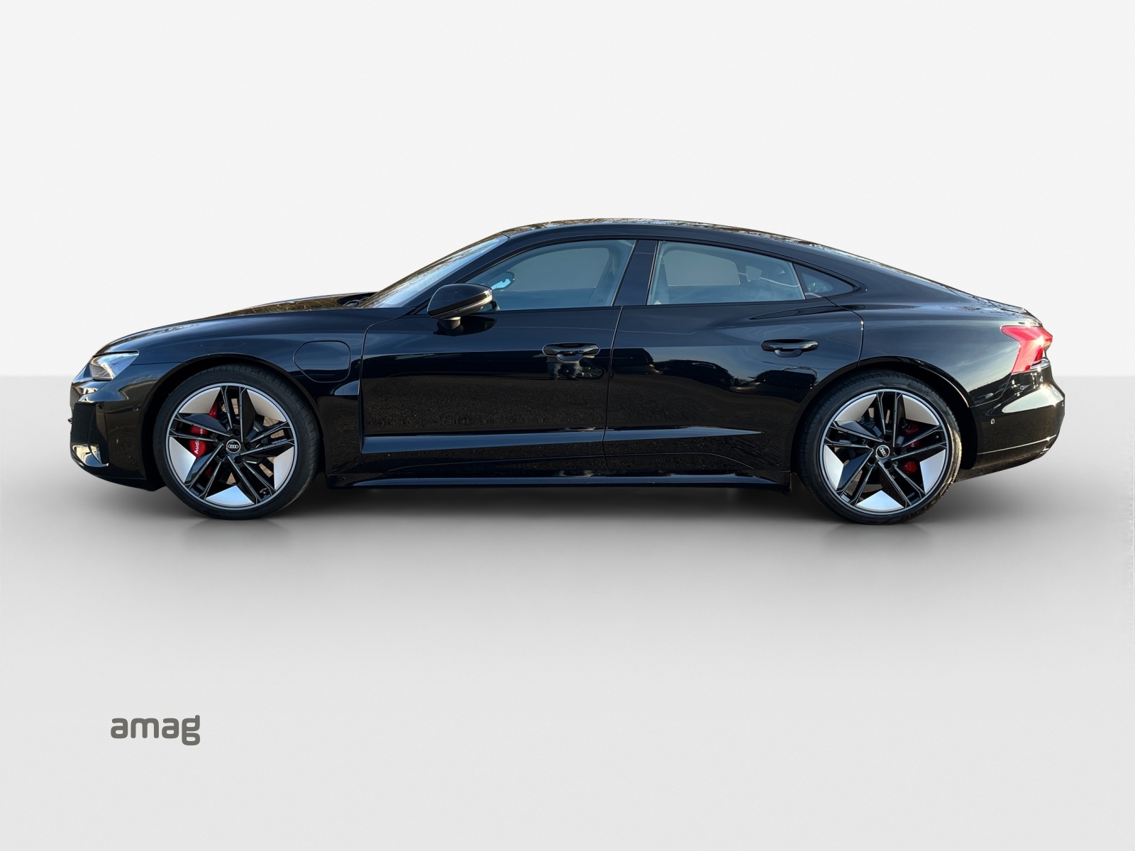 AUDI RS e-tron GT quattro-showroom-element-1