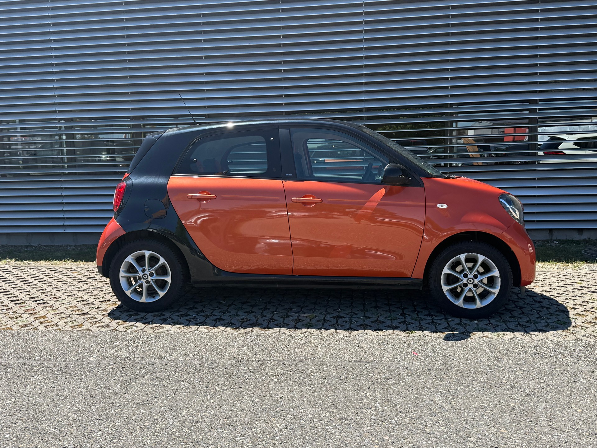 SMART forfour passion-image-8