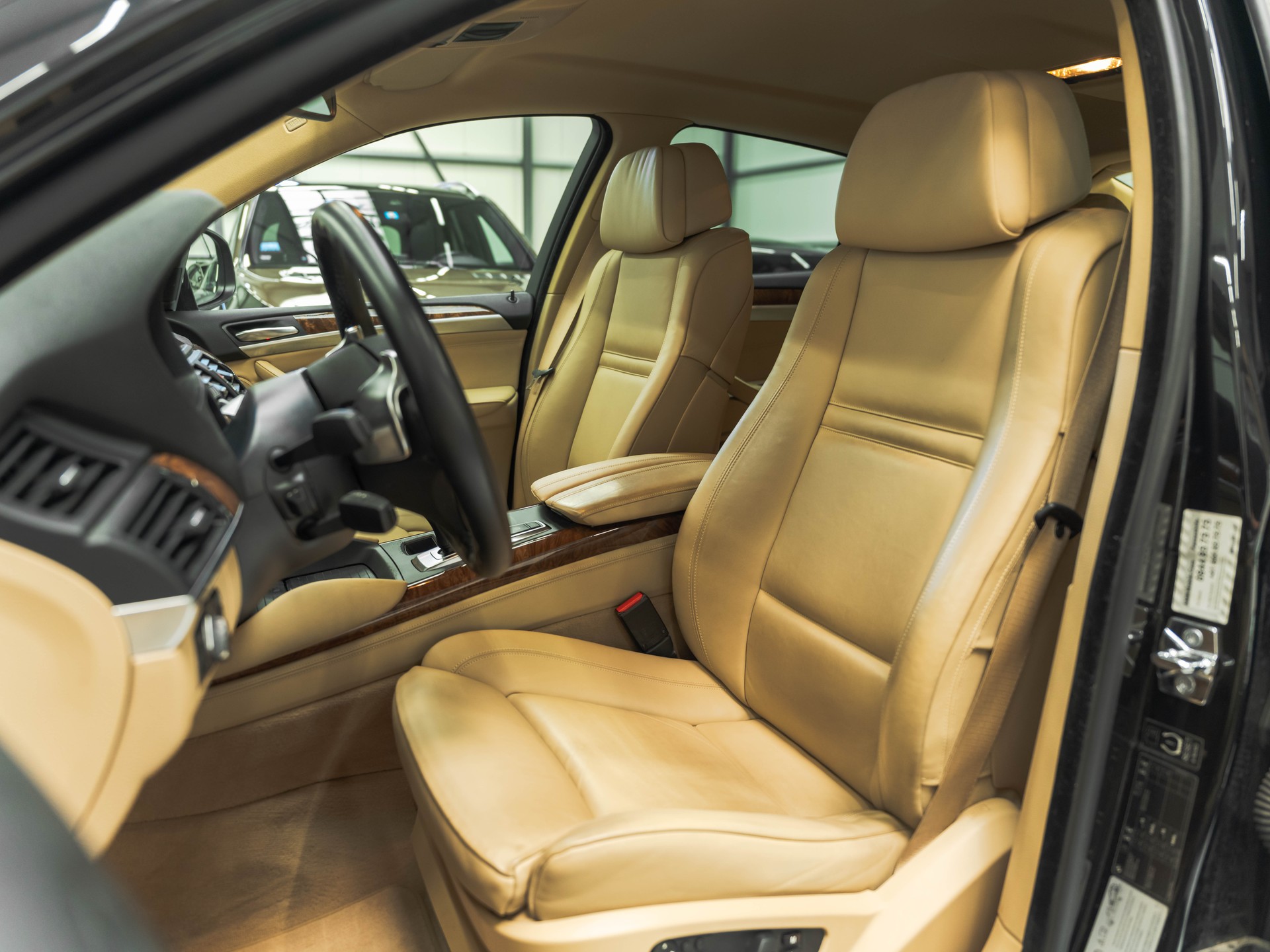 BMW X6 xDrive 50i Steptronic-image-9