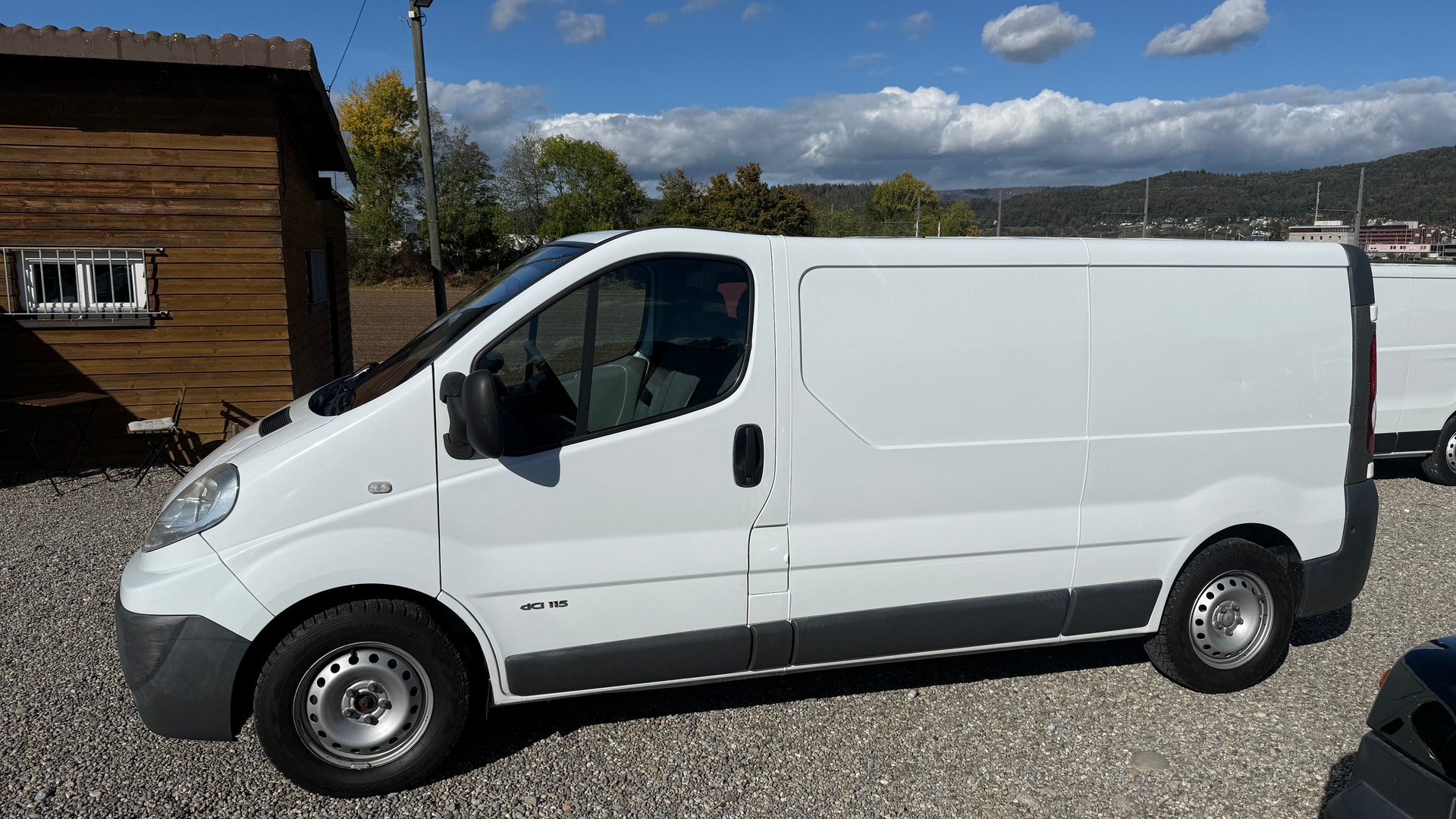 RENAULT Trafic 2.0 dCi 115 2.9t L2H1-image-17