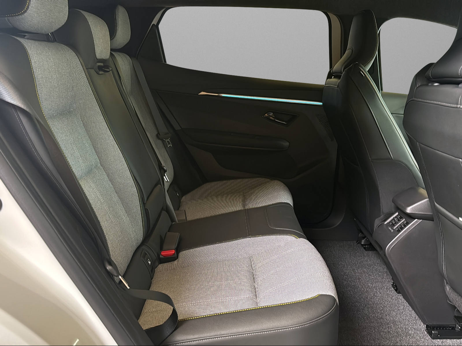 RENAULT Scénic E-Tech Long Range Techno-image-7