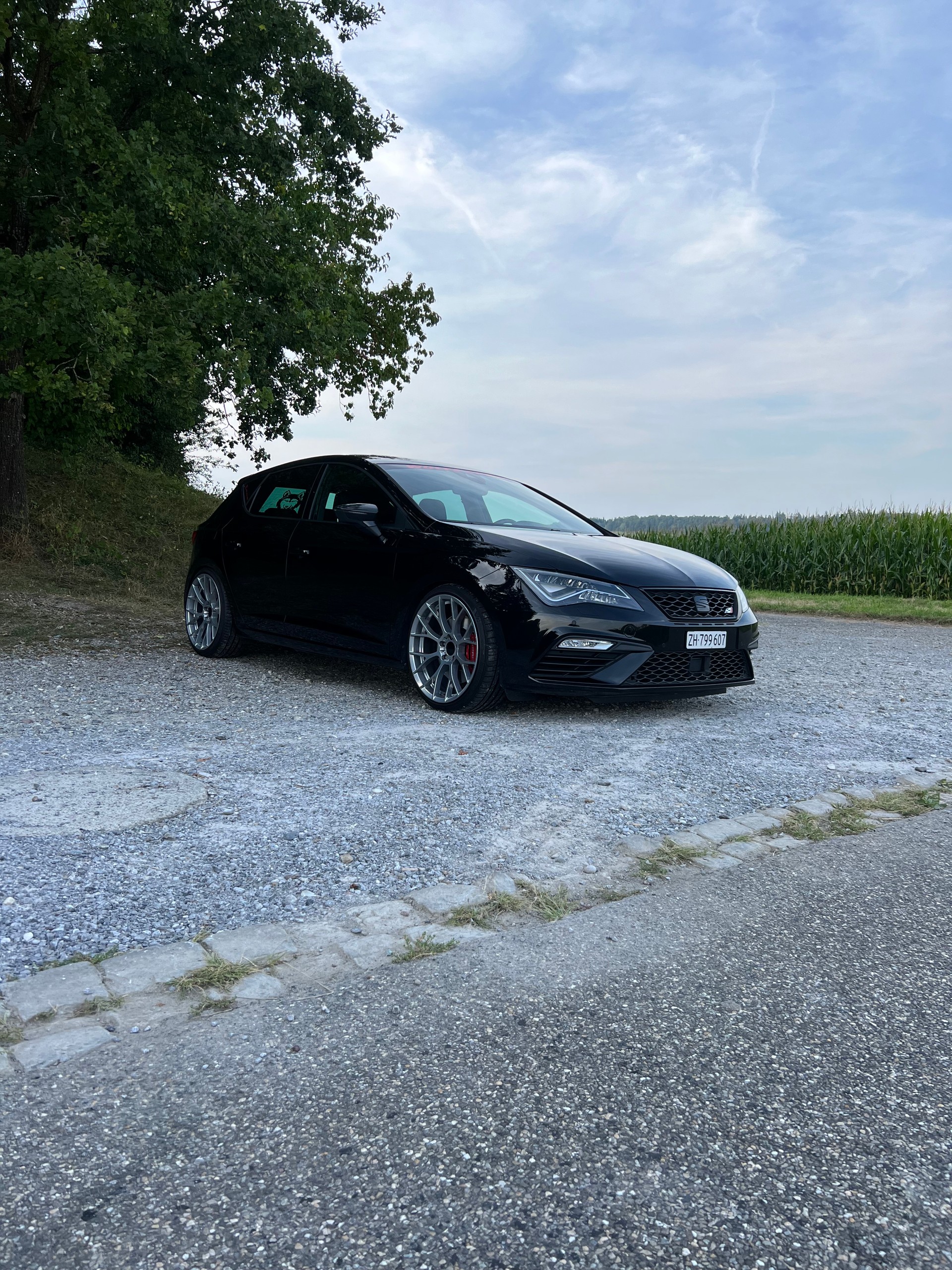 SEAT Leon 2.0 TSI Cupra R DSG-image-2