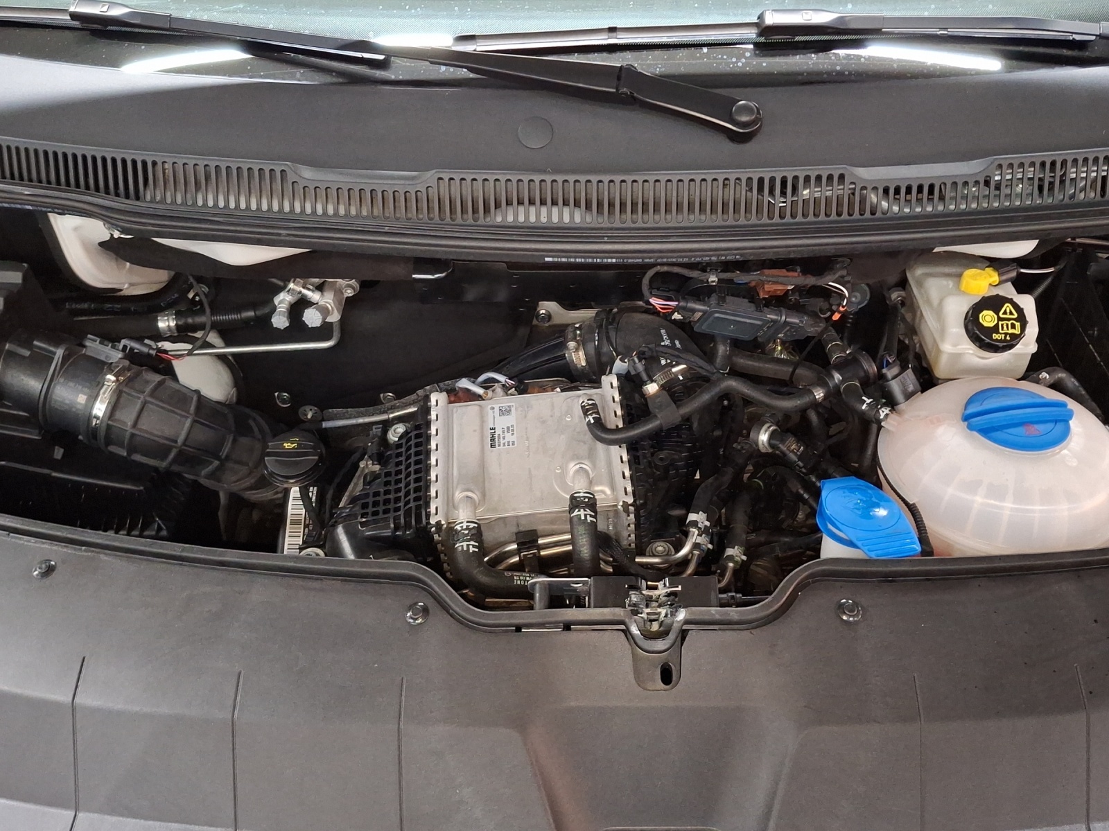VW T6.1 2.0 TDI 4Motion-image-15