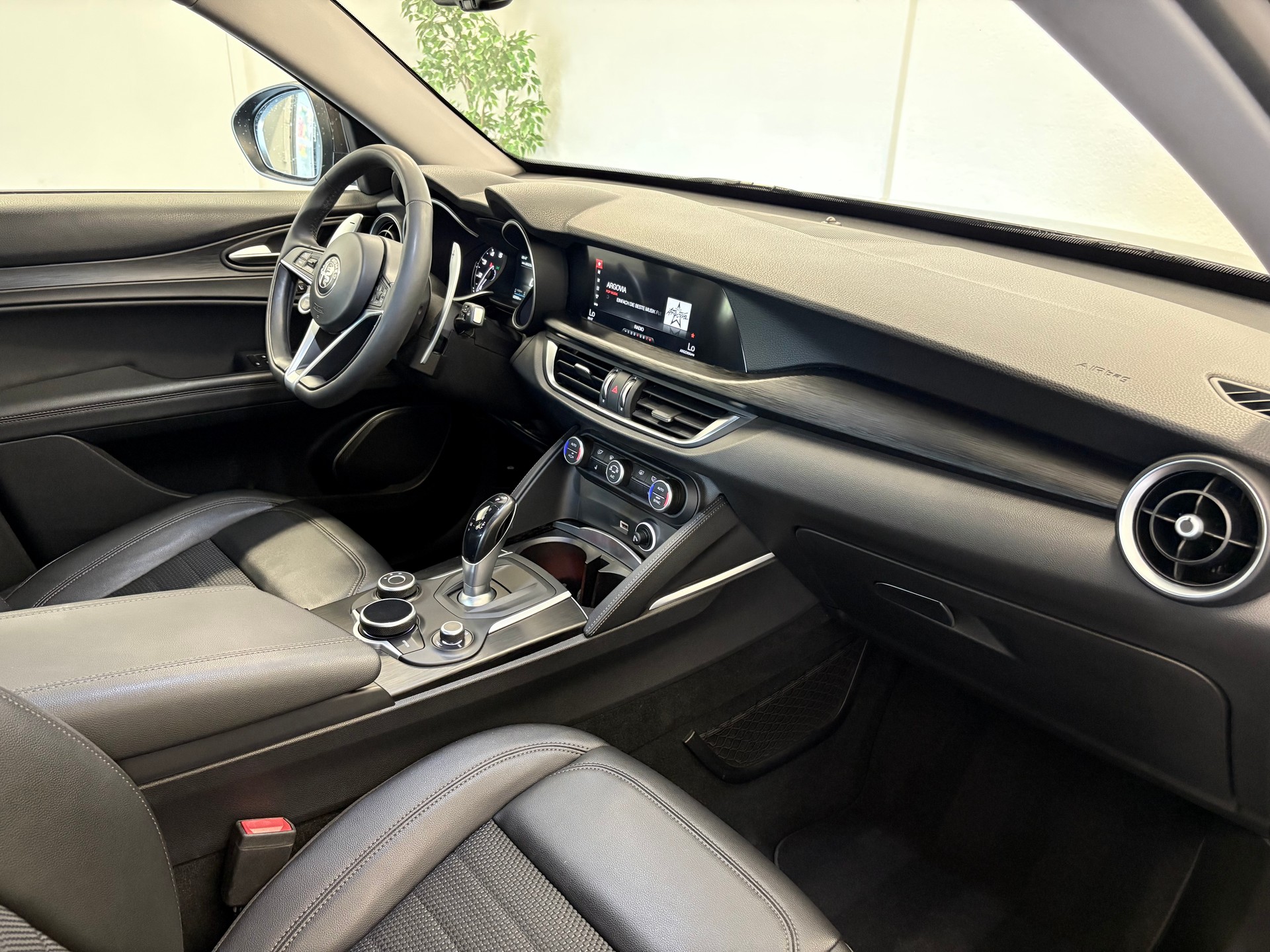 ALFA ROMEO Stelvio 2.0 Super Q4 Automatic-image-21