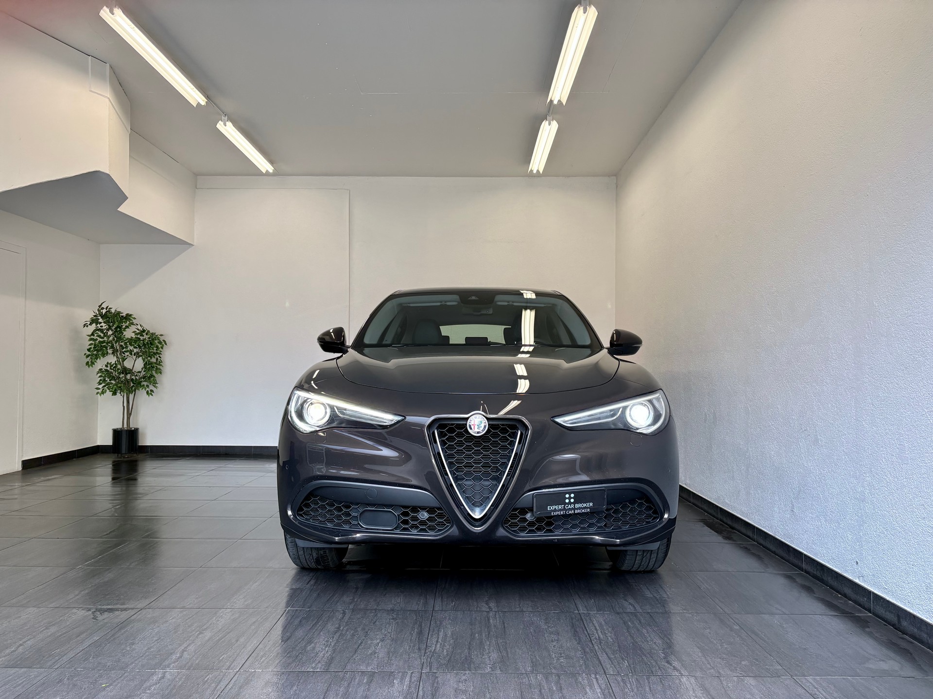 ALFA ROMEO Stelvio 2.0 Super Q4 Automatic-showroom-element-3