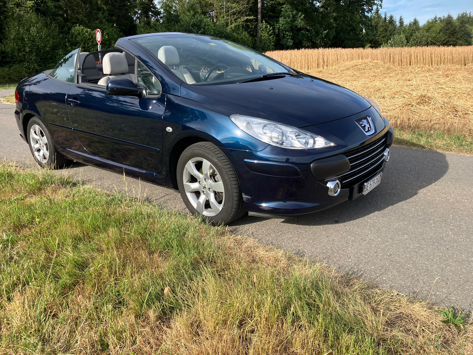 PEUGEOT 2.0 16V 143 Dynamic-image-1