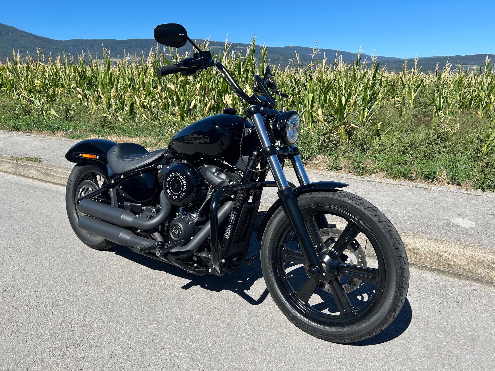 HARLEY-DAVIDSON FXST Softail Standard 107