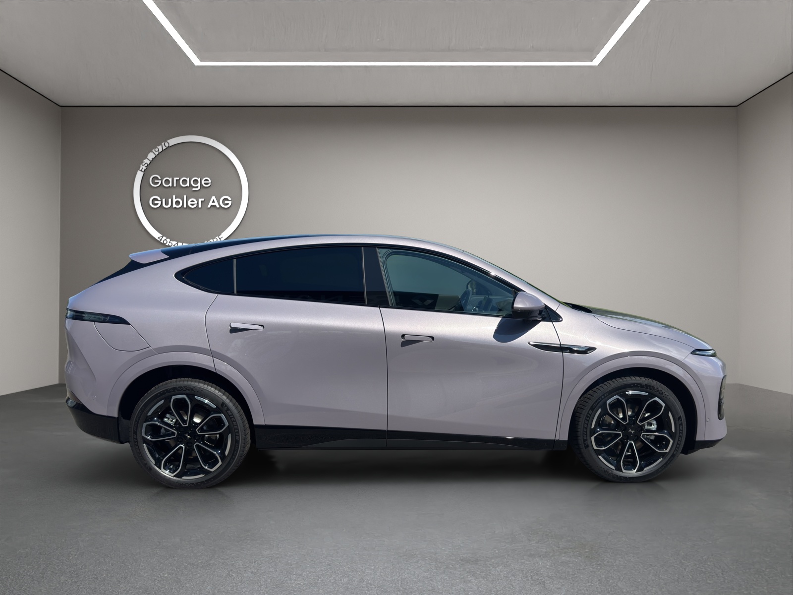 XPENG G6 Performance AWD-image-2