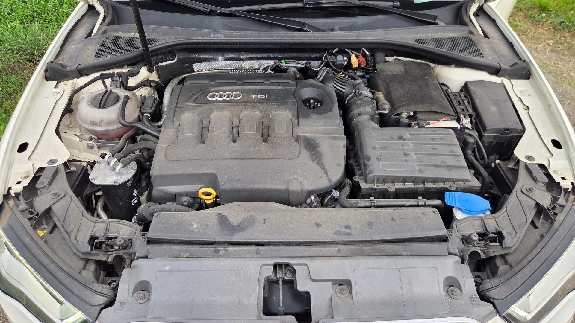 AUDI A3 Sportback 2.0 TDI Attraction quattro S-tronic-image-13