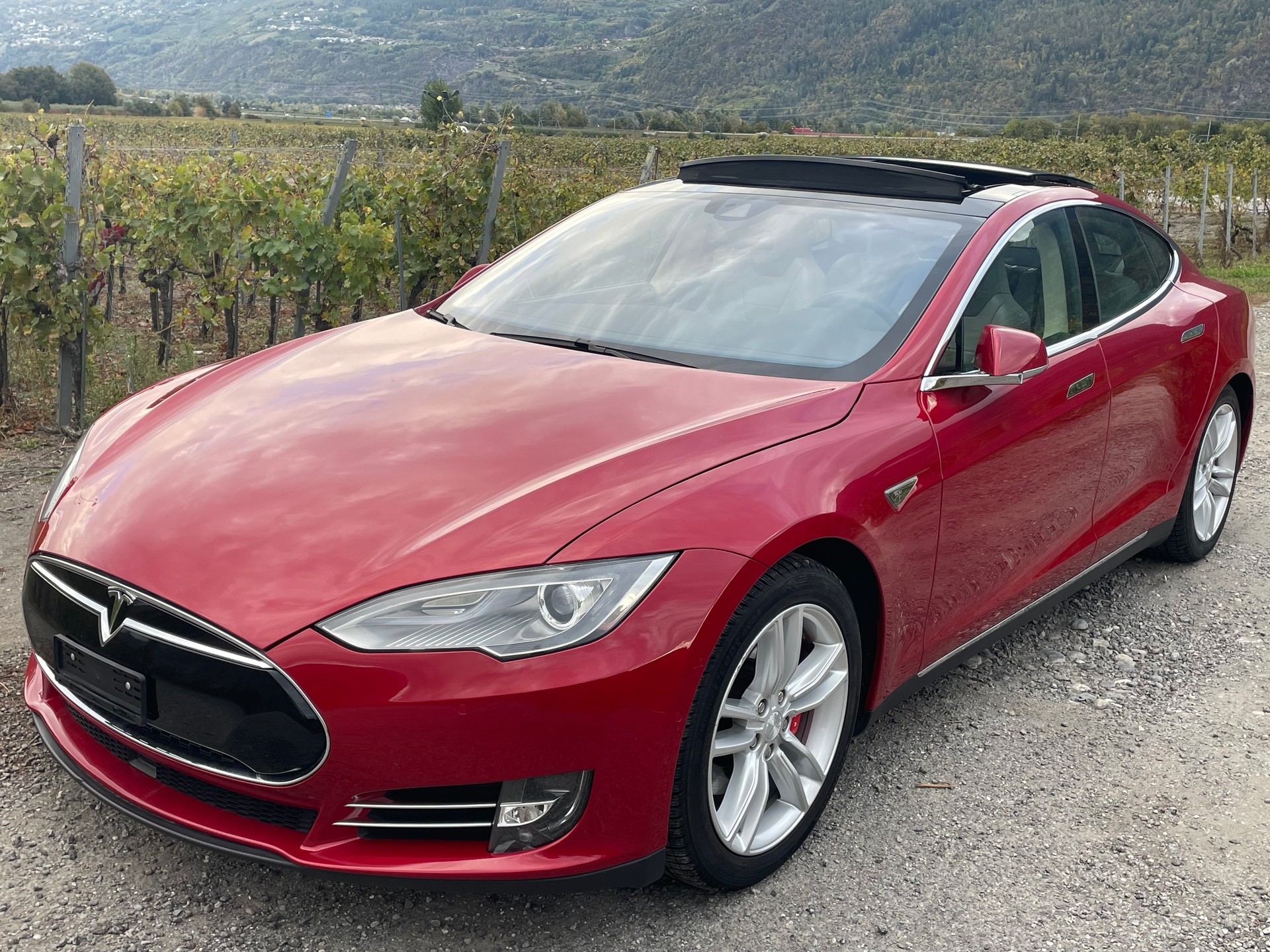 TESLA Model S 85 D Performance-image-4