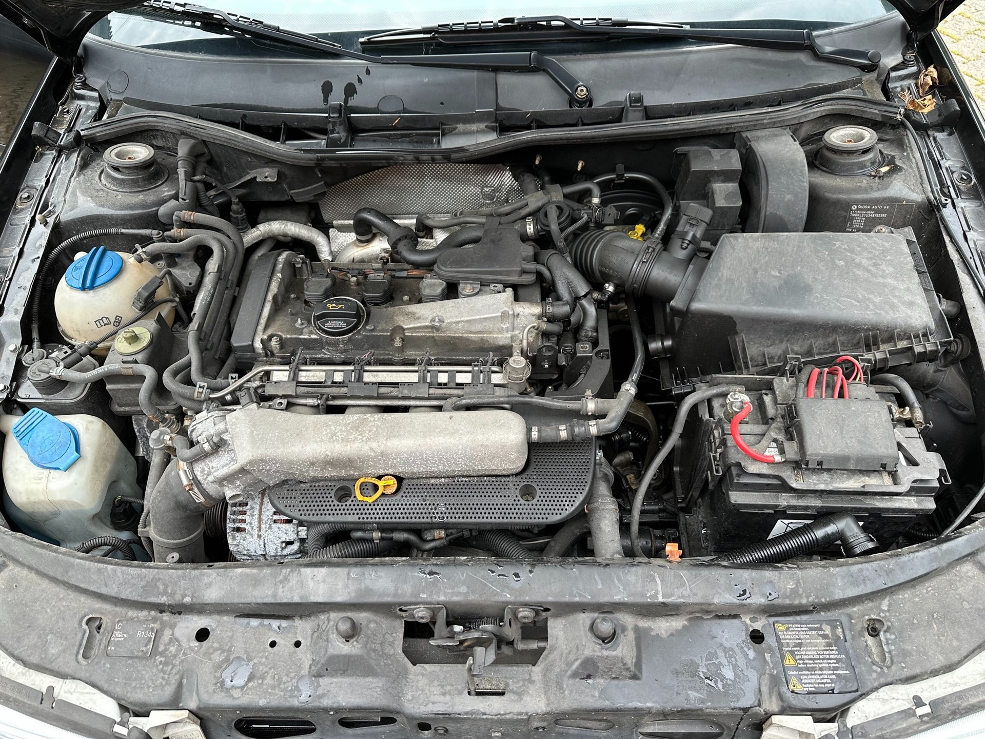 SKODA Octavia 1.8 Turbo Drive 4x4 FIXPREIS-image-8