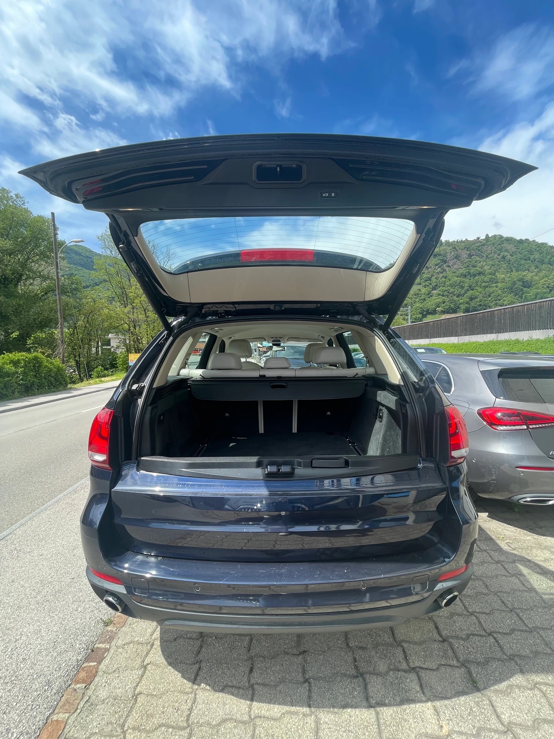 BMW X5 xDrive 25d Steptronic-image-6