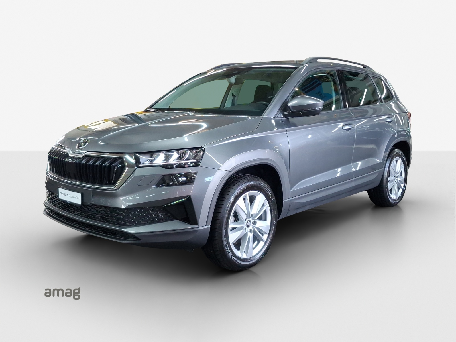 SKODA Karoq 2.0 TDI CR Selection 4x4 DSG-image-0