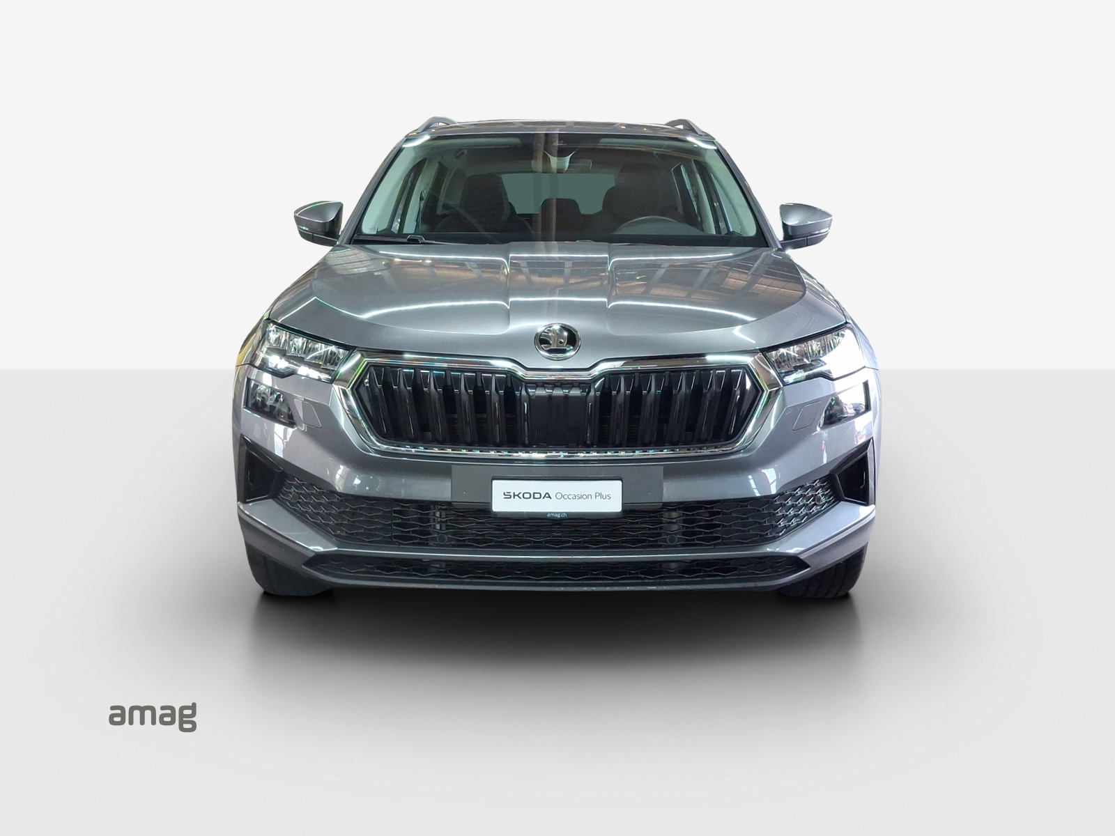 SKODA Karoq 2.0 TDI CR Selection 4x4 DSG-image-6