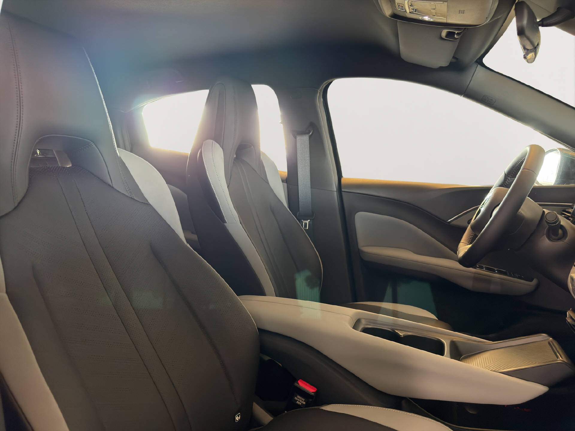 BYD Dolphin Surf Boost-image-14