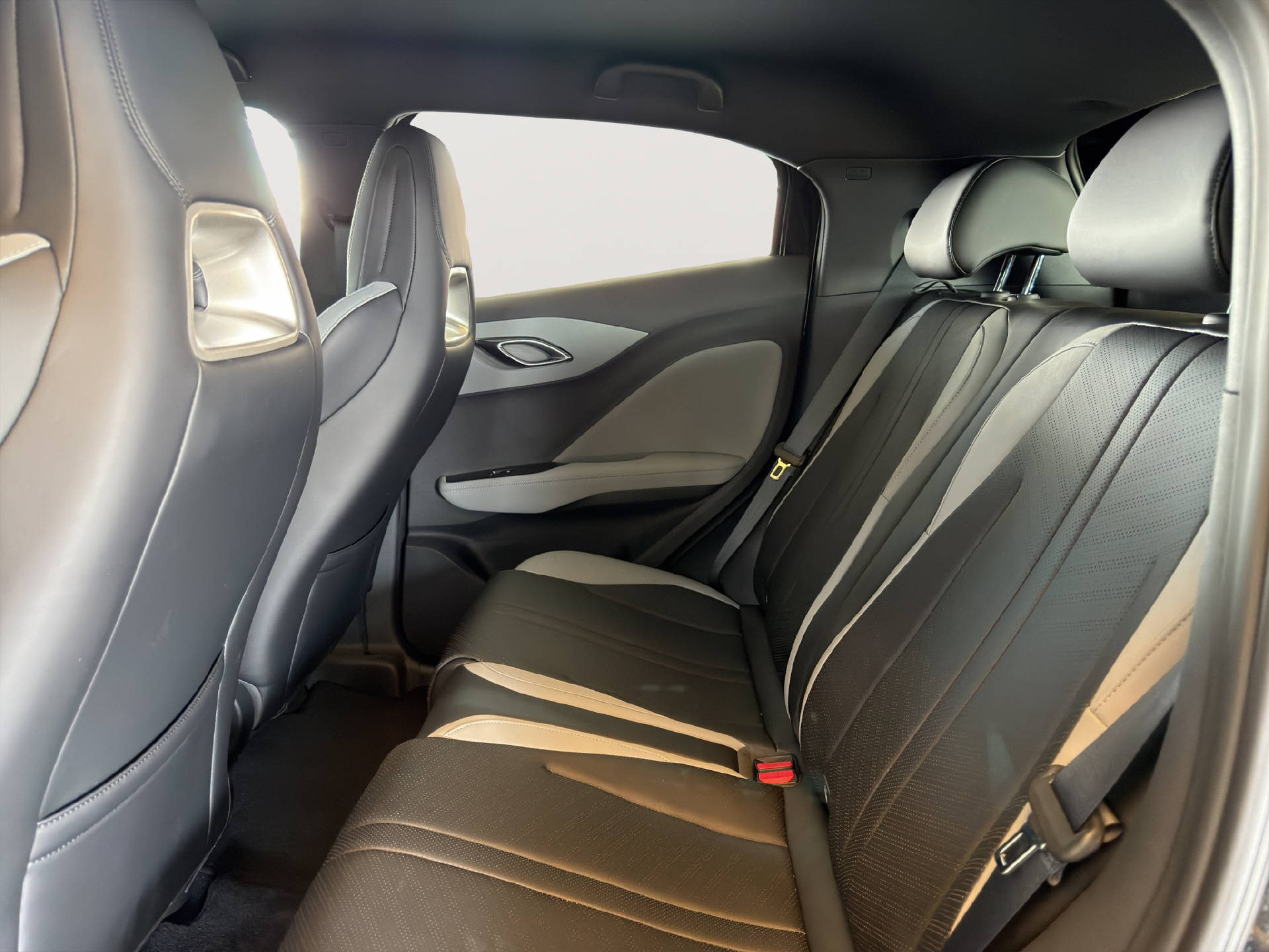 BYD Dolphin Surf Boost-image-16