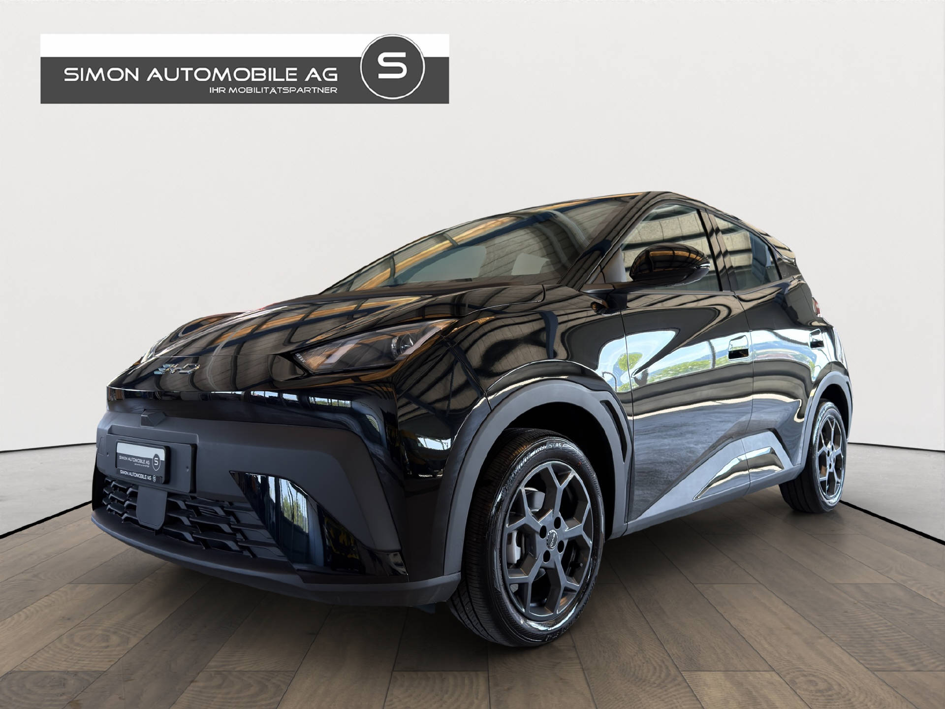 BYD Dolphin Surf Boost-image-1