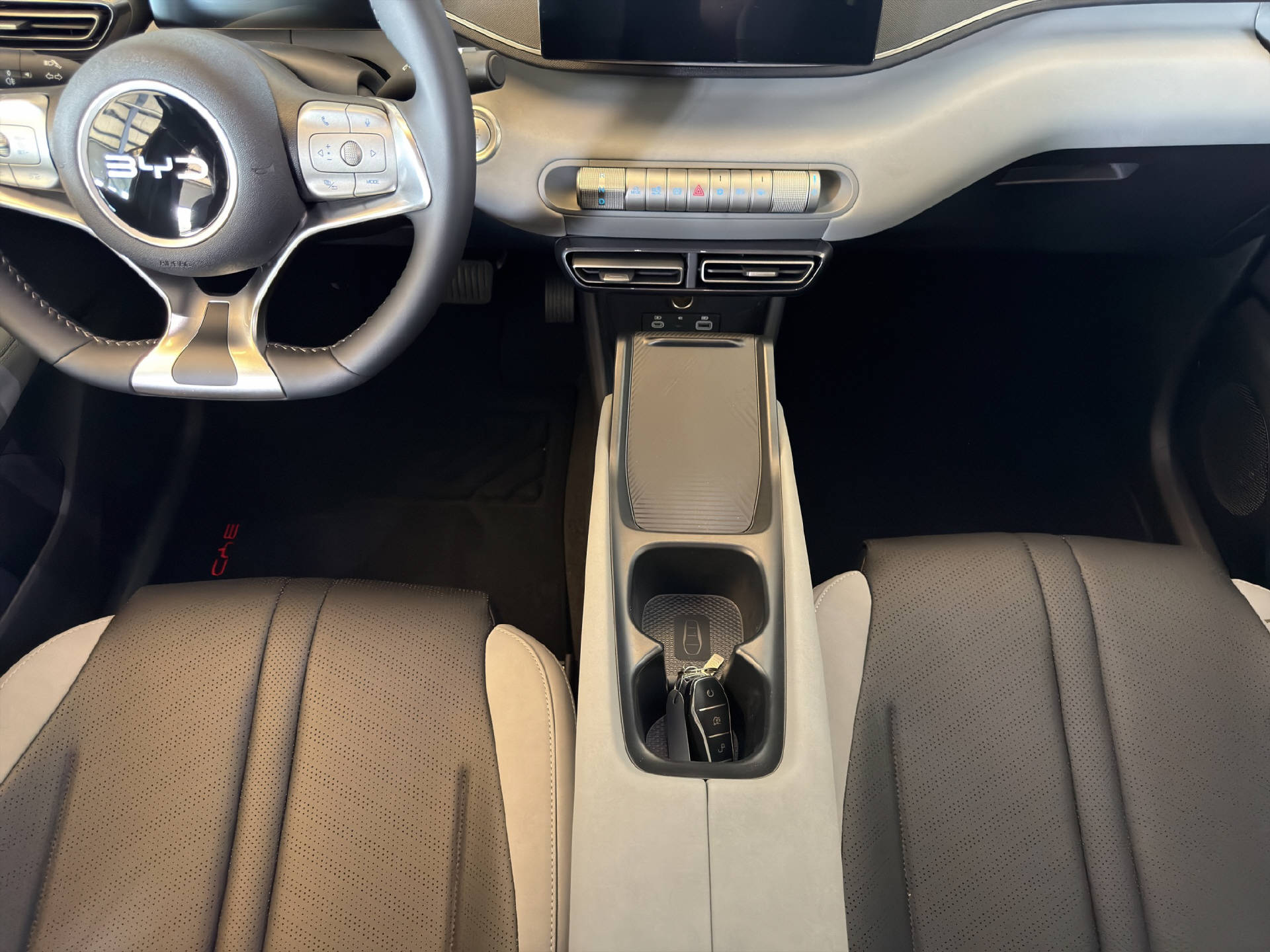 BYD Dolphin Surf Boost-image-13
