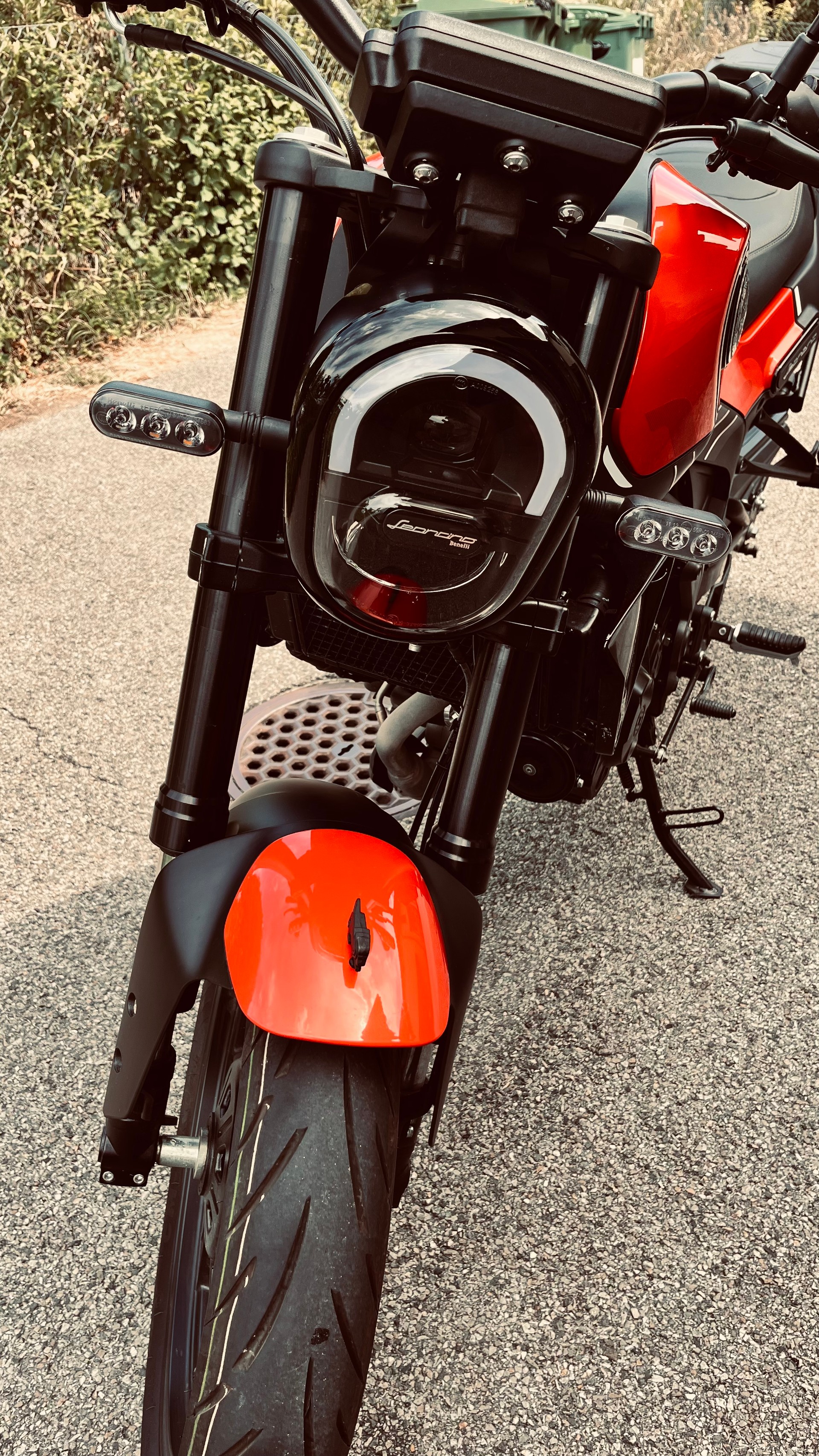 BENELLI Leoncino-image-2