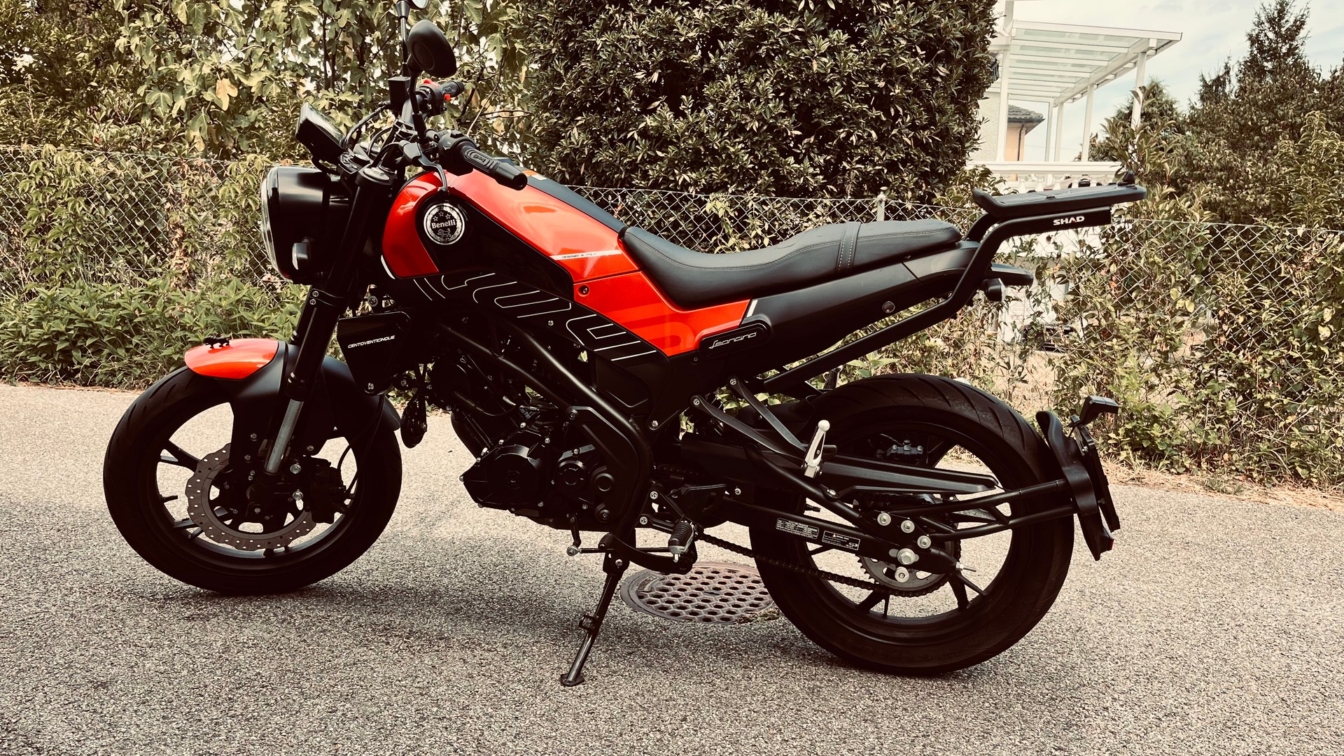 BENELLI Leoncino