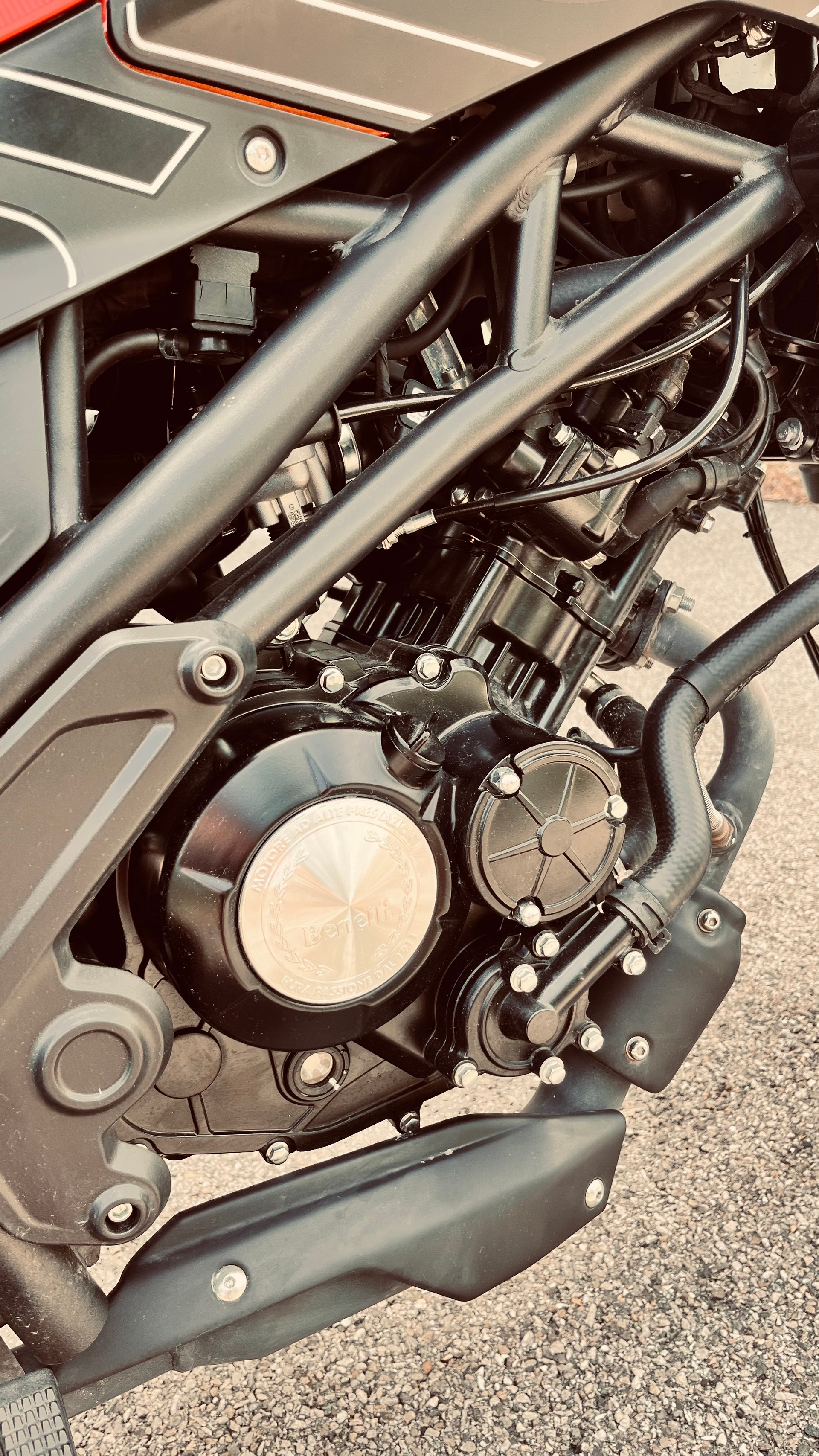 BENELLI Leoncino-image-4
