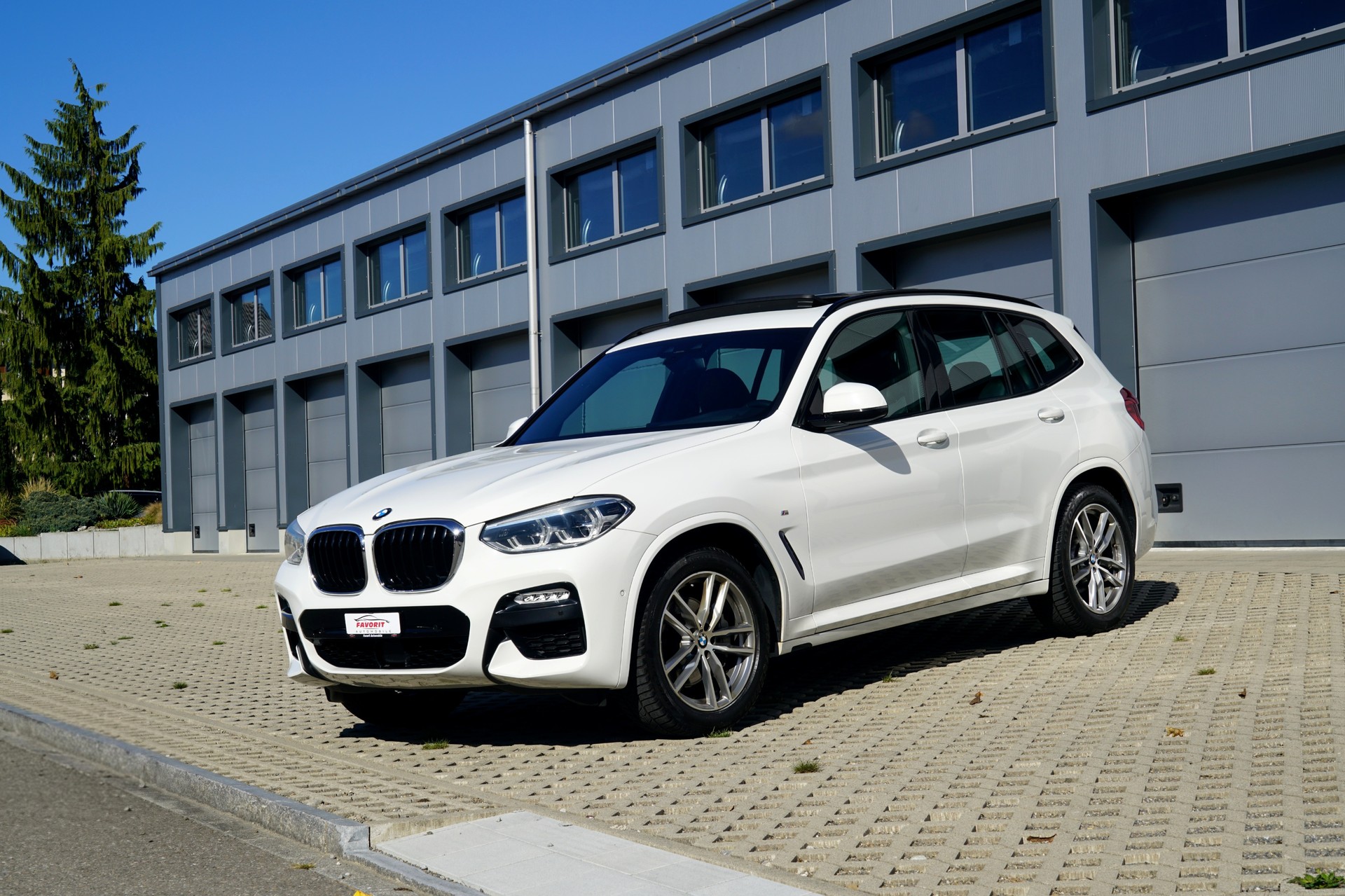 BMW X3 xDrive 25d M Sport Steptronic (CH)-image-13