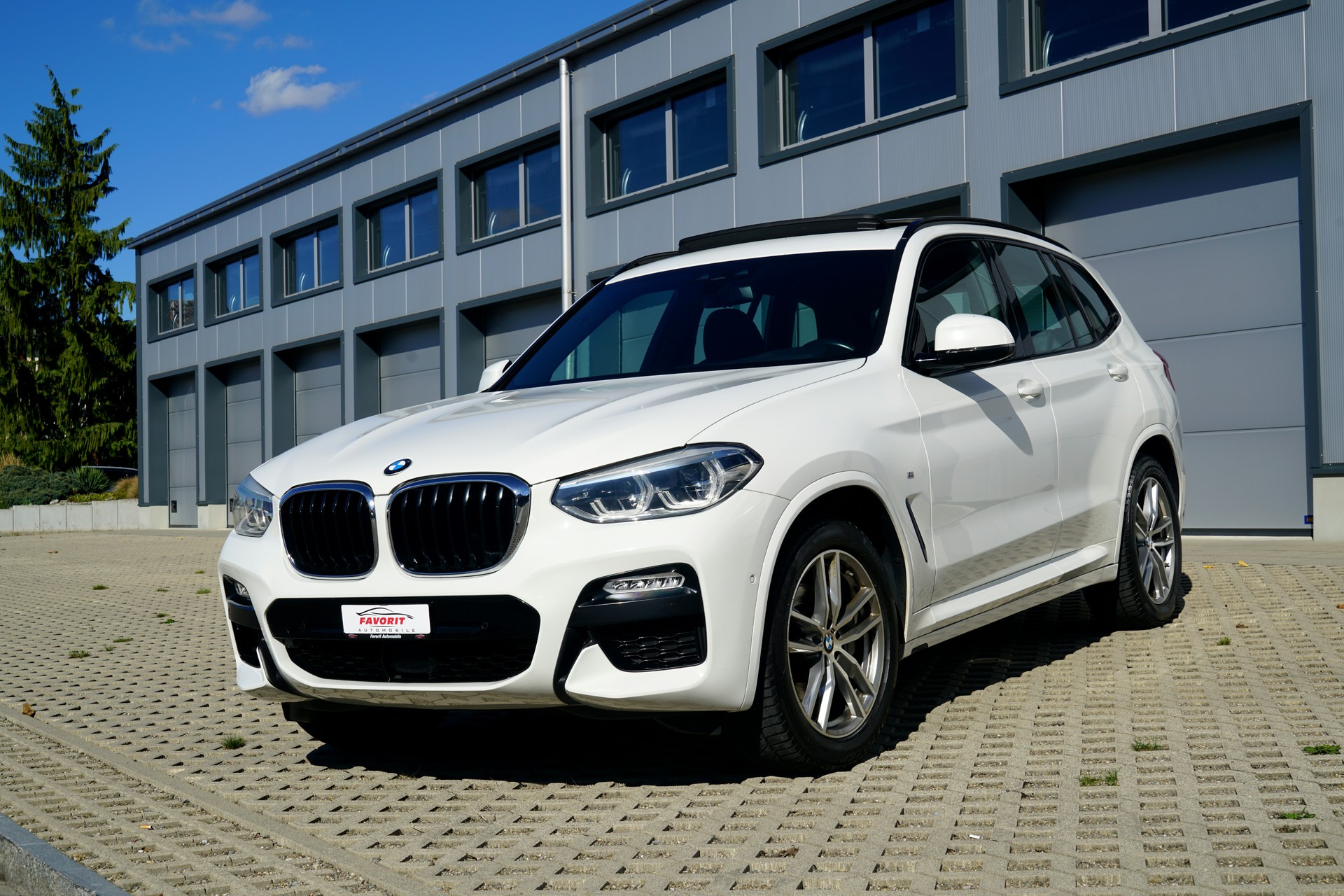 BMW X3 xDrive 25d M Sport Steptronic (CH)-image-14