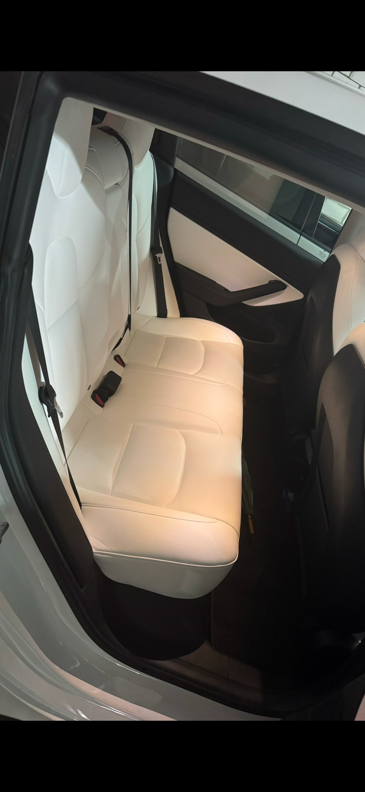 TESLA Standart Range Plus / neue batterie in 2025-image-2