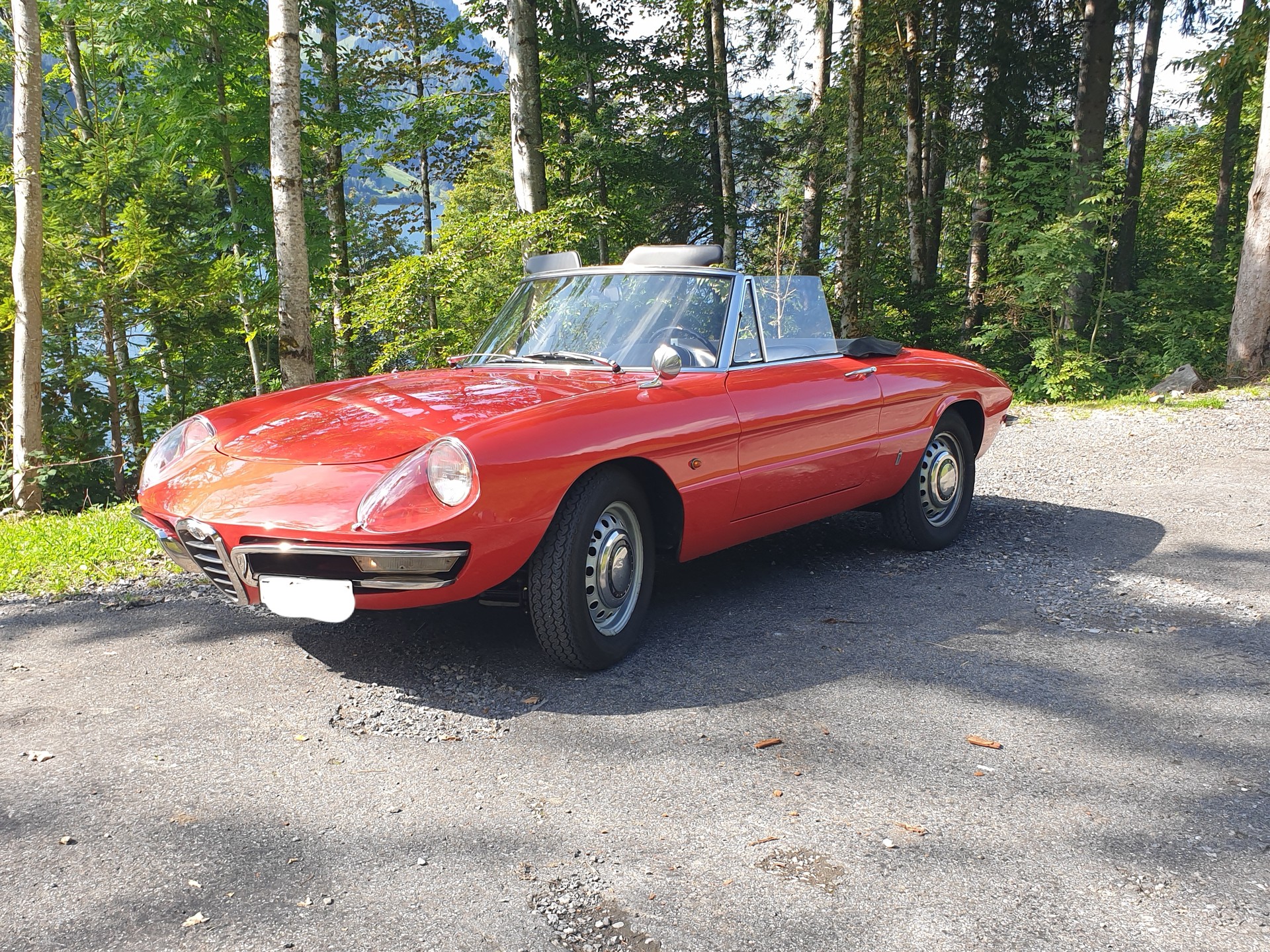 ALFA ROMEO Alfa Romeo Spider 1600 Duetto Osso di seppia Top zustand-image-4