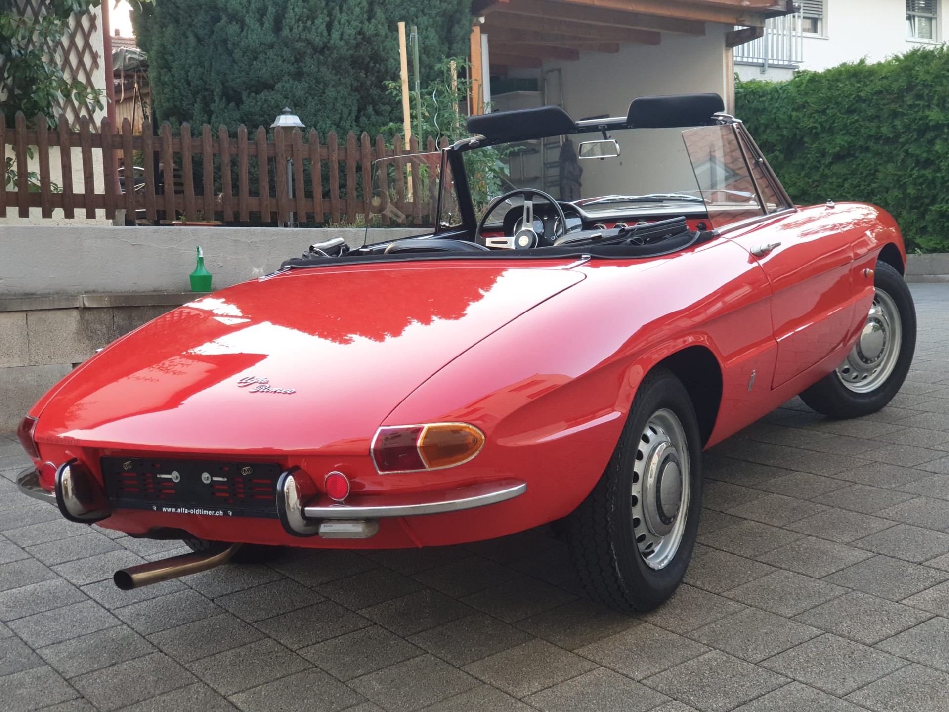 ALFA ROMEO Alfa Romeo Spider 1600 Duetto Osso di seppia Top zustand-image-2