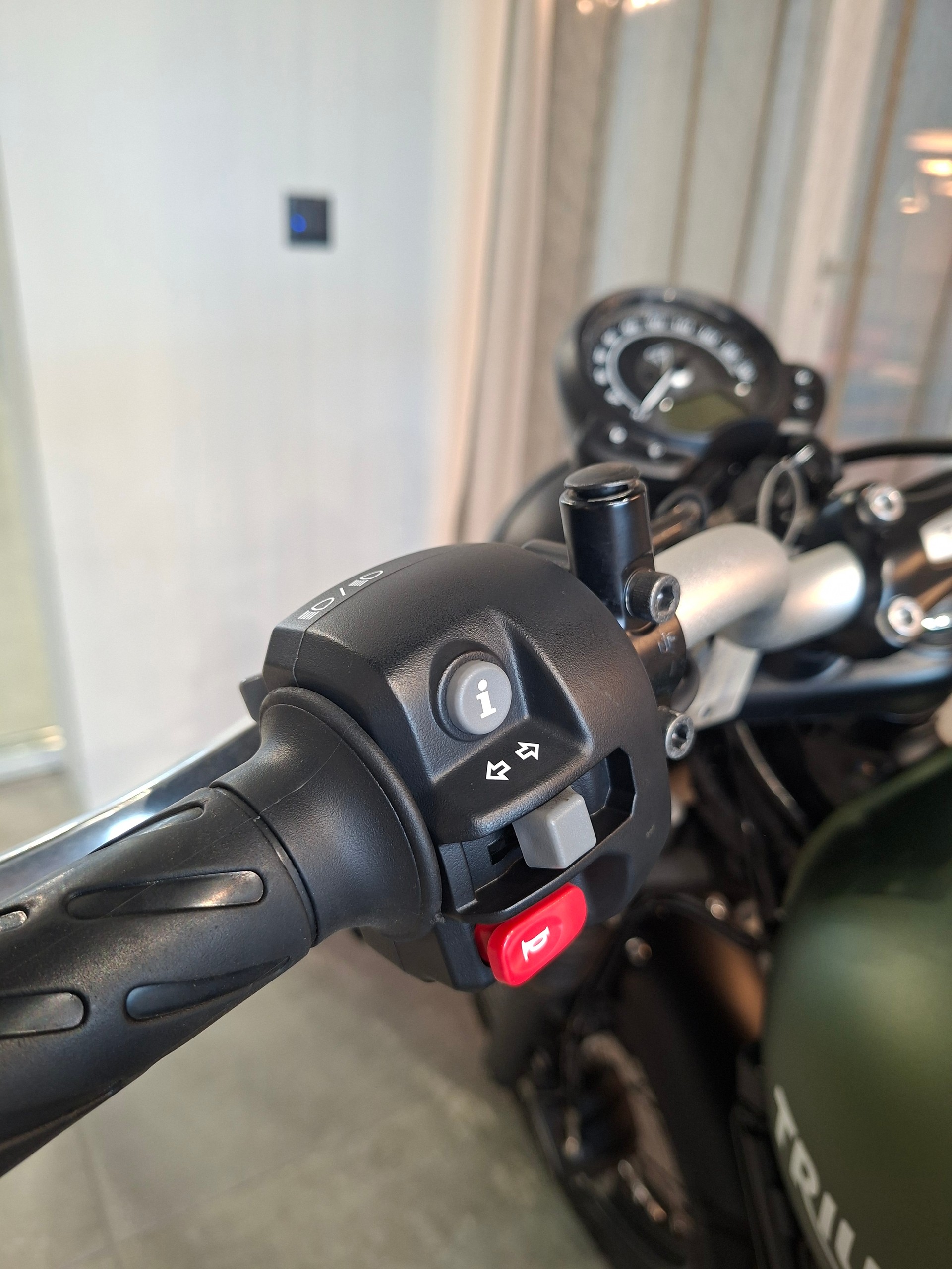 TRIUMPH Street Scrambler 900-image-10