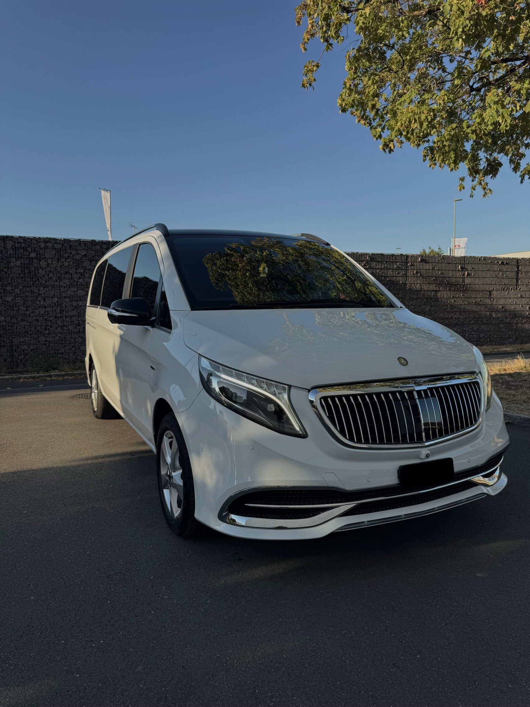 MERCEDES-BENZ V 250 d Swiss Edition lang 4Matic 7G-Tronic-image-0