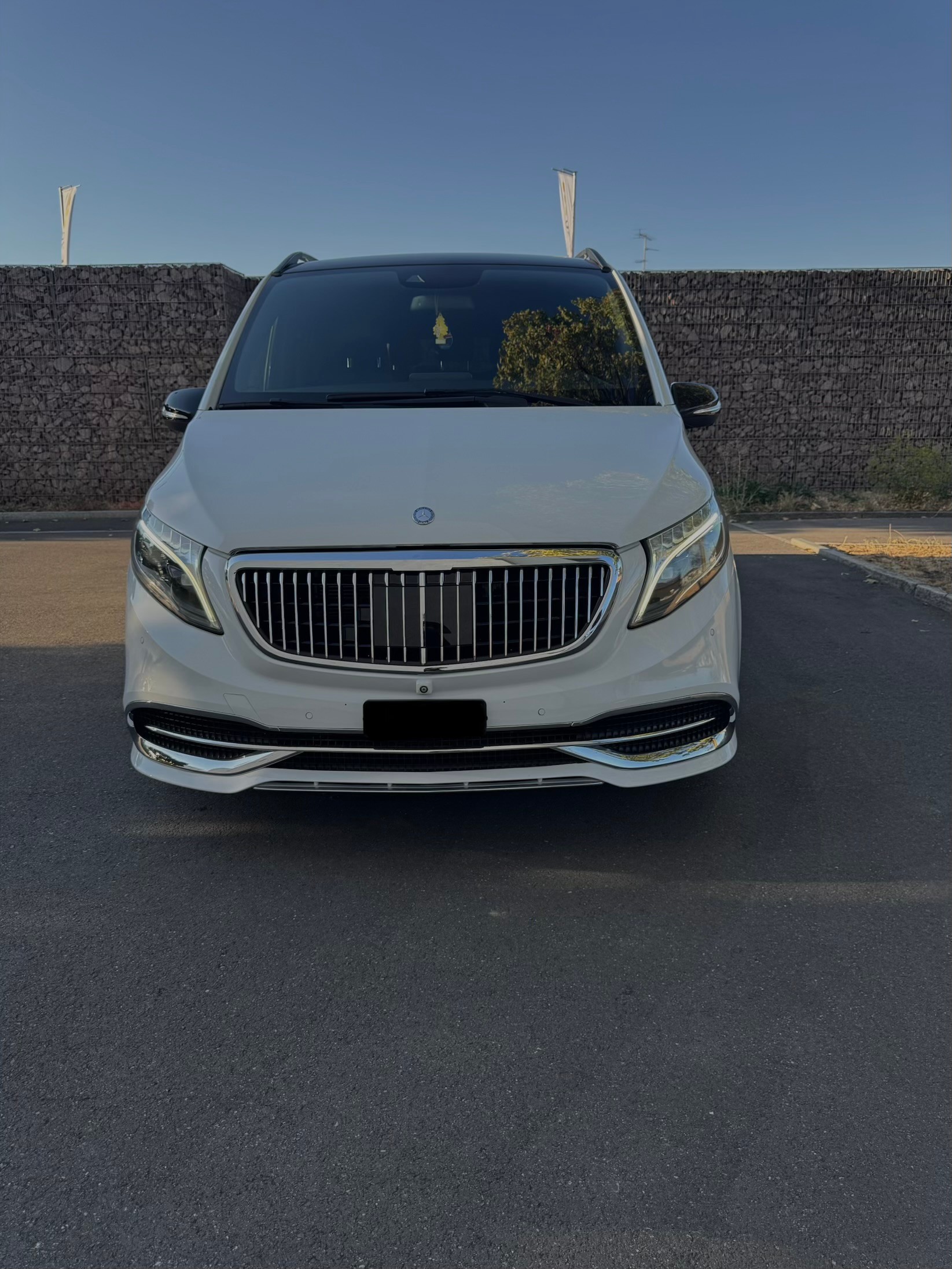 MERCEDES-BENZ V 250 d Swiss Edition lang 4Matic 7G-Tronic-image-1