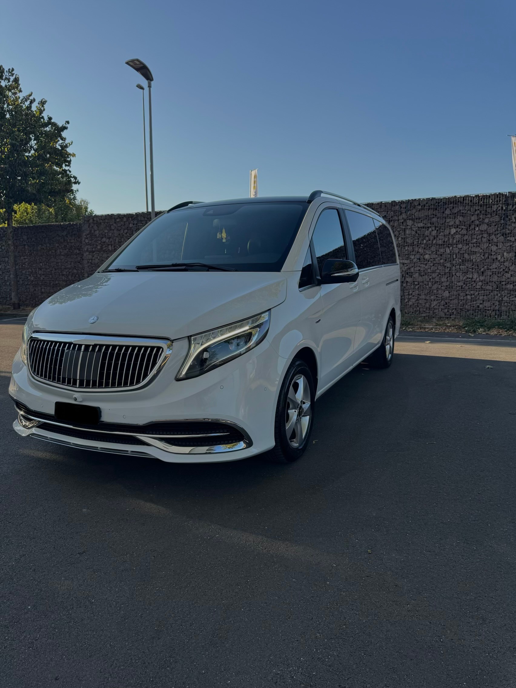 MERCEDES-BENZ V 250 d Swiss Edition lang 4Matic 7G-Tronic-image-2