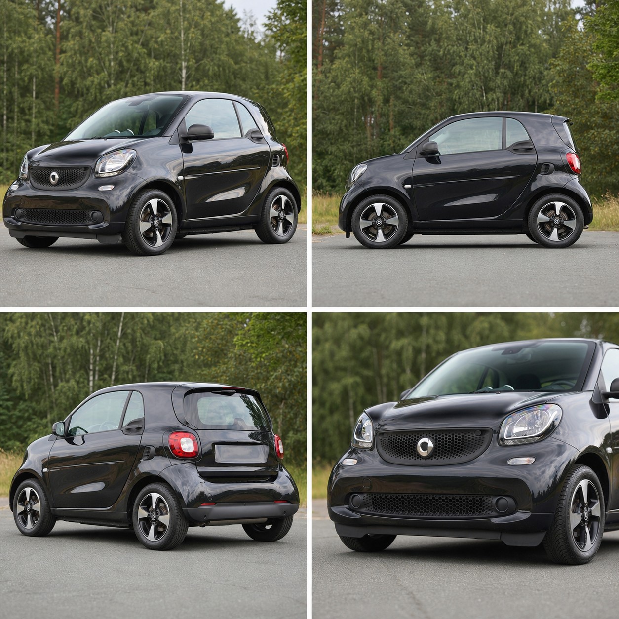 SMART LZBAA202 — slika 1