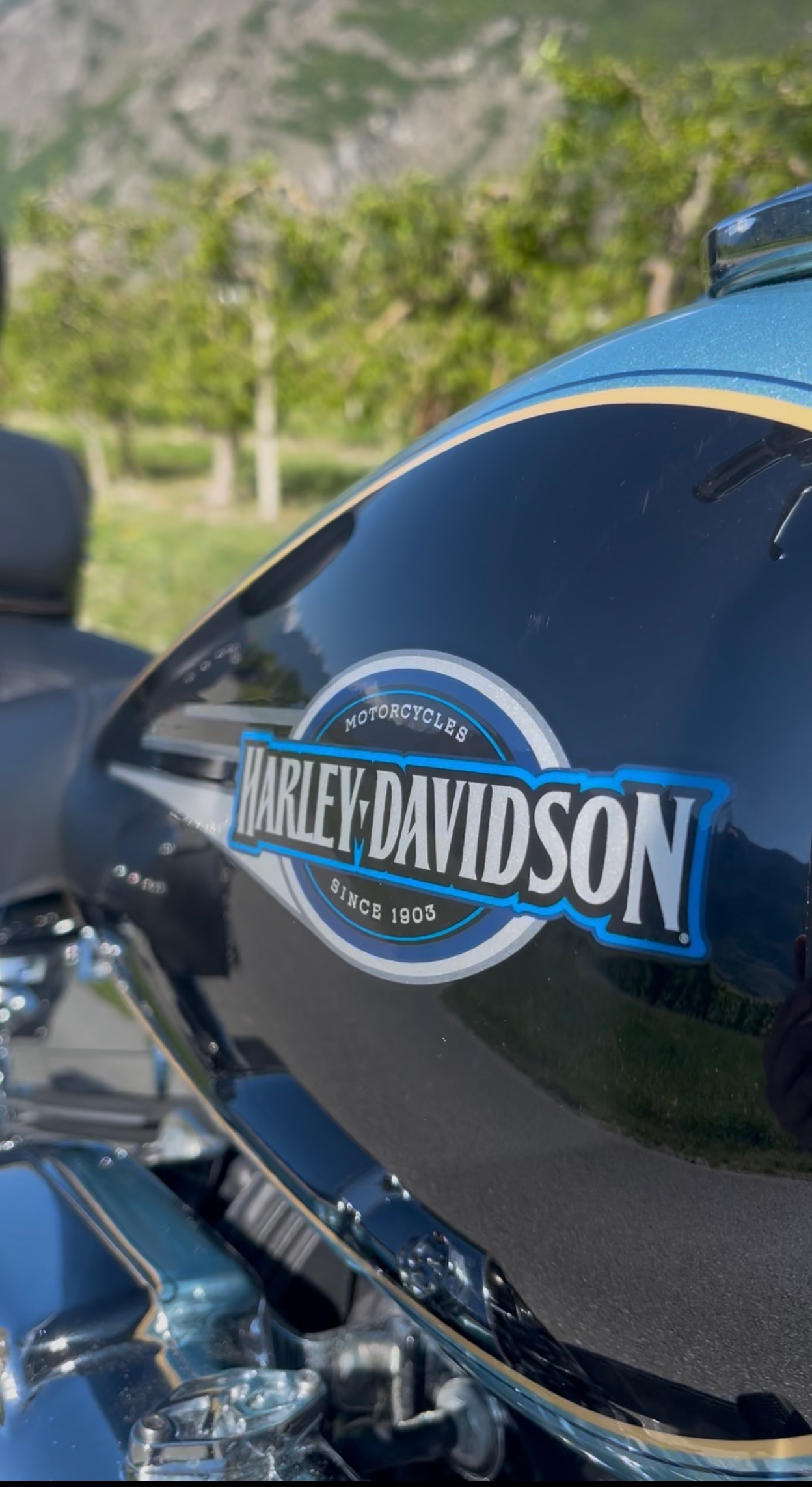 HARLEY-DAVIDSON FLSTCI Softail Classic-image-4