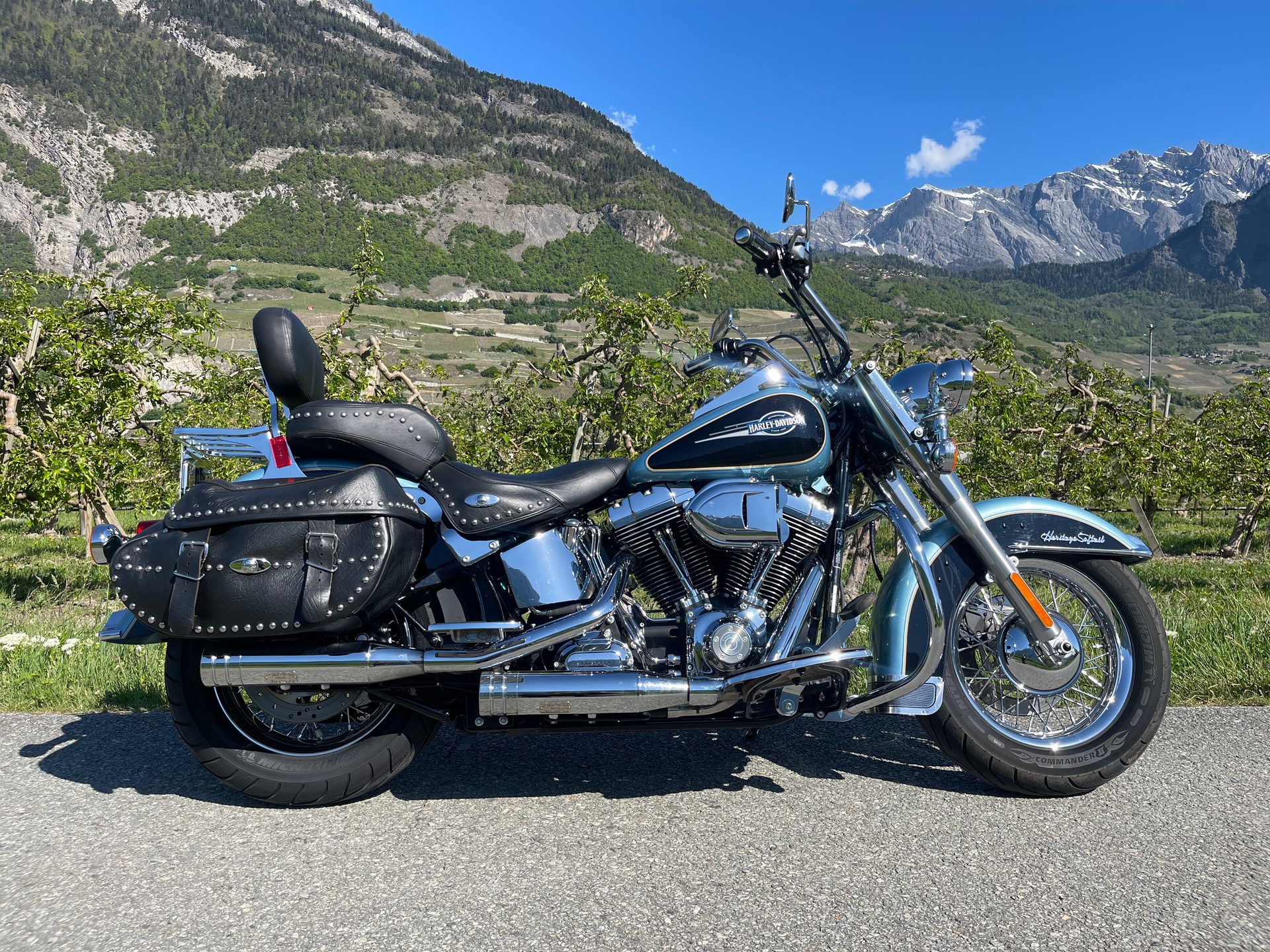 HARLEY-DAVIDSON FLSTCI Softail Classic-image-1