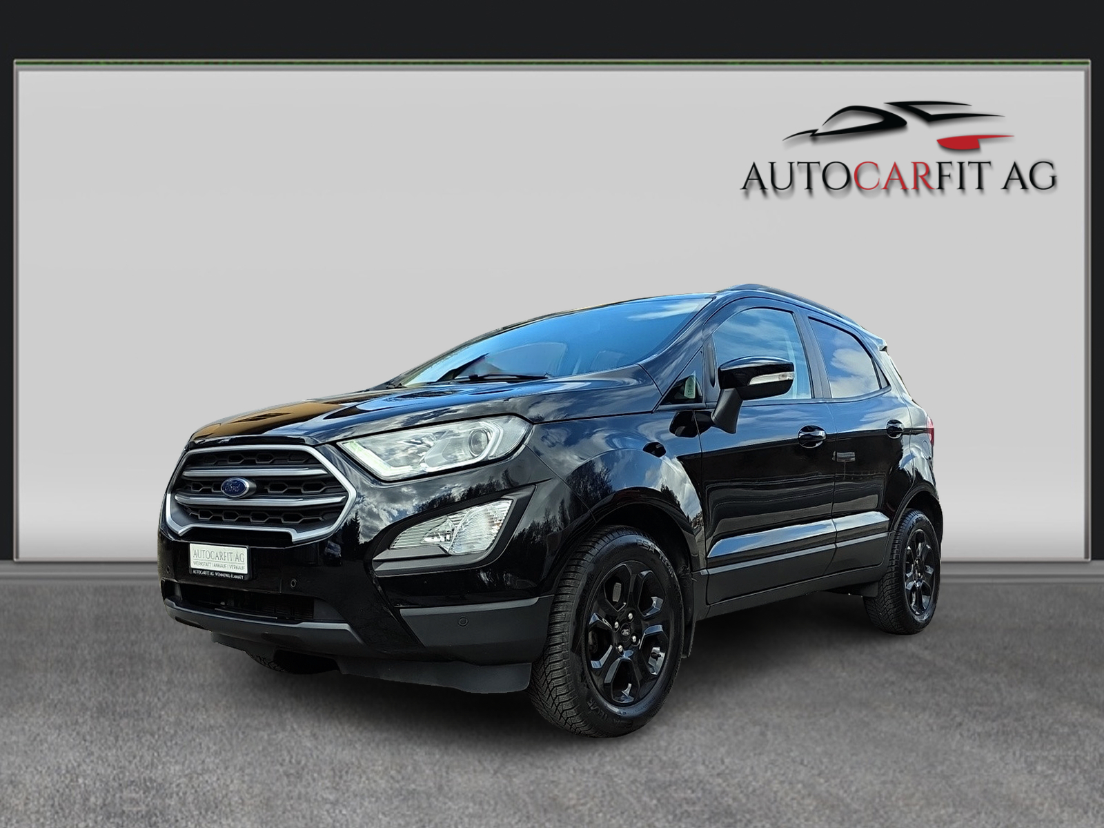 FORD EcoSport 1.0 SCTi Business-image-0