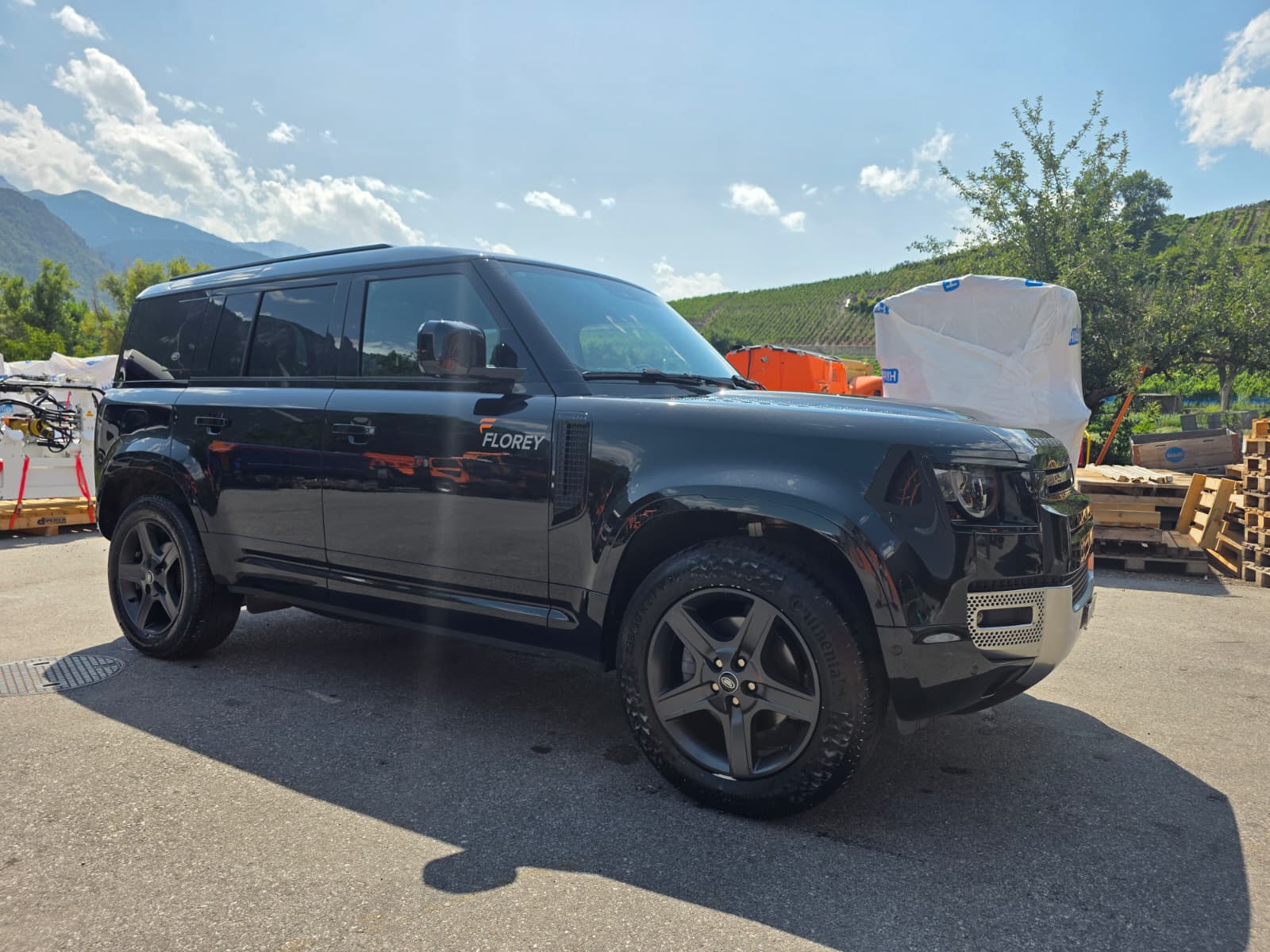 LAND ROVER 3.0 D I6 250 SE-image-2