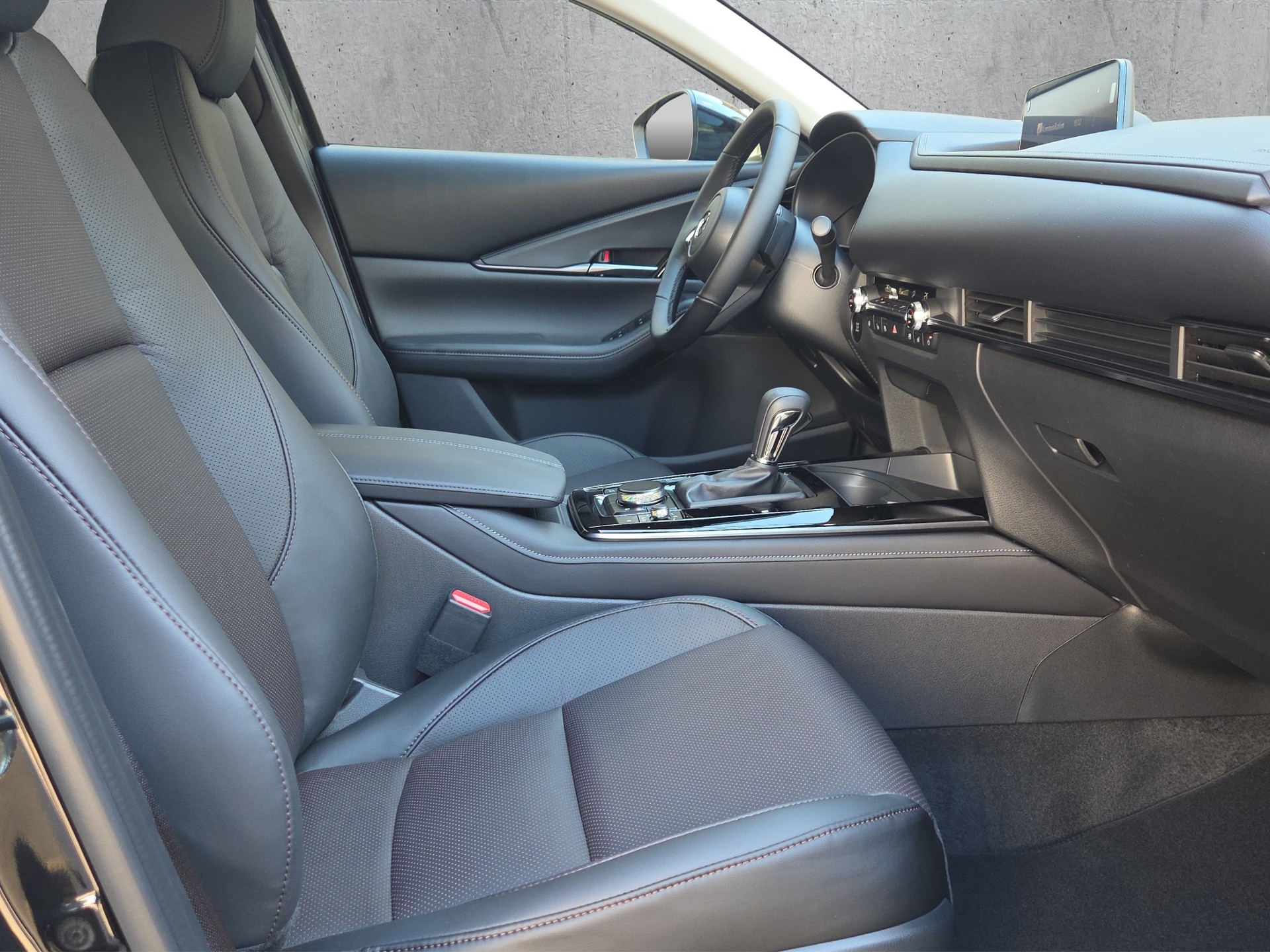 MAZDA CX-30 SKYACTIV-X 186 M Hybrid Homura Plus AWD AT-image-15