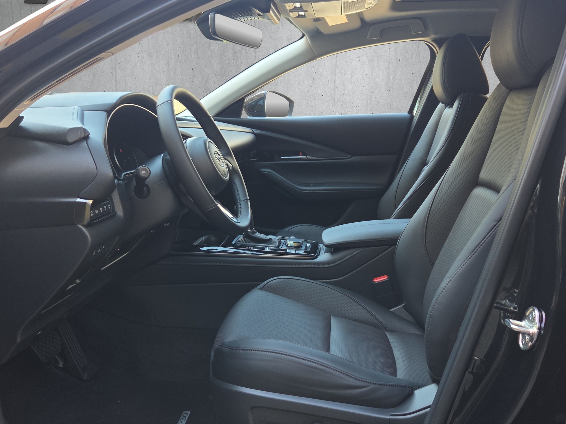 MAZDA CX-30 SKYACTIV-X 186 M Hybrid Homura Plus AWD AT-image-8