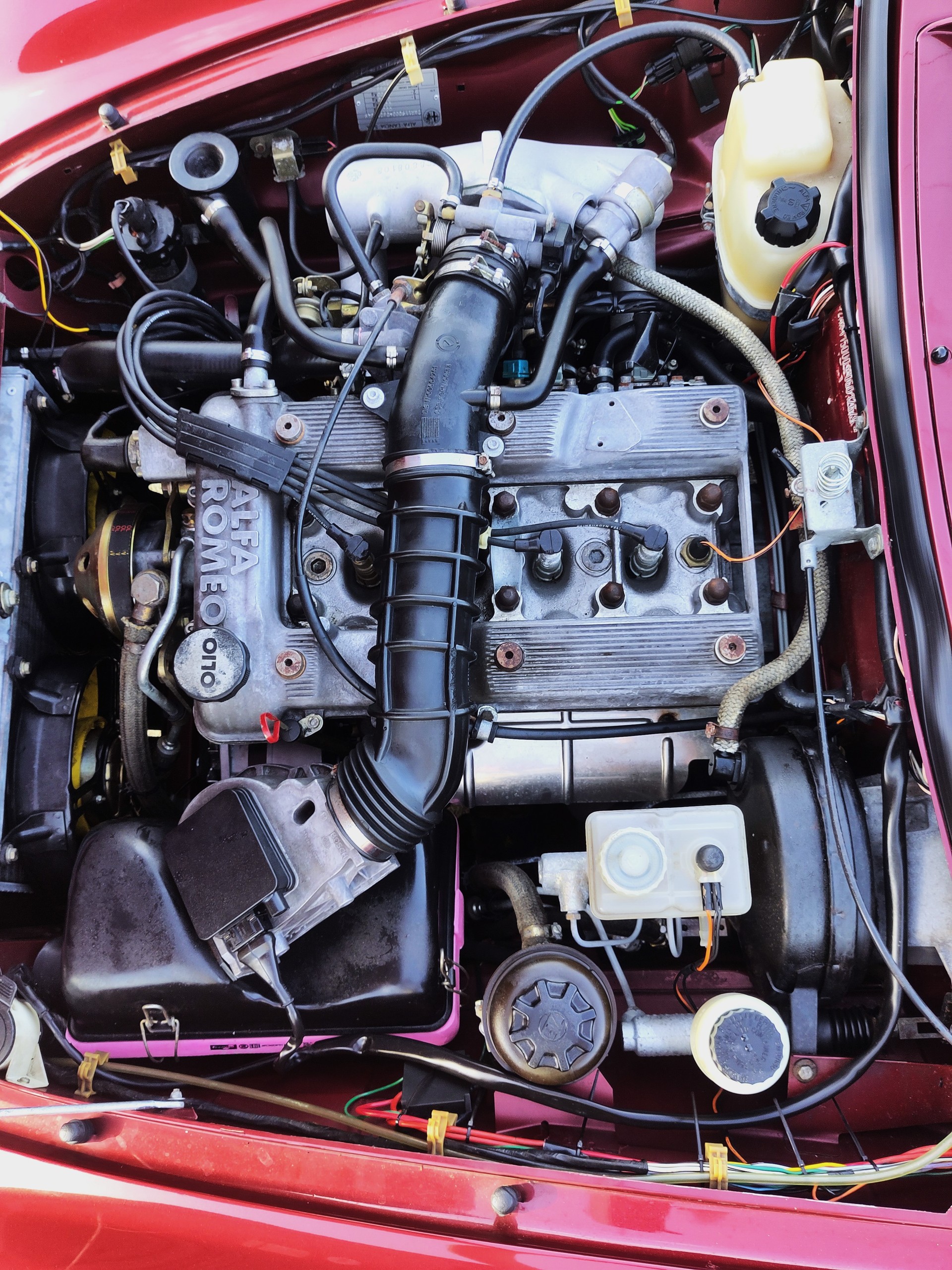 ALFA ROMEO 2.0 Typ 4-image-5