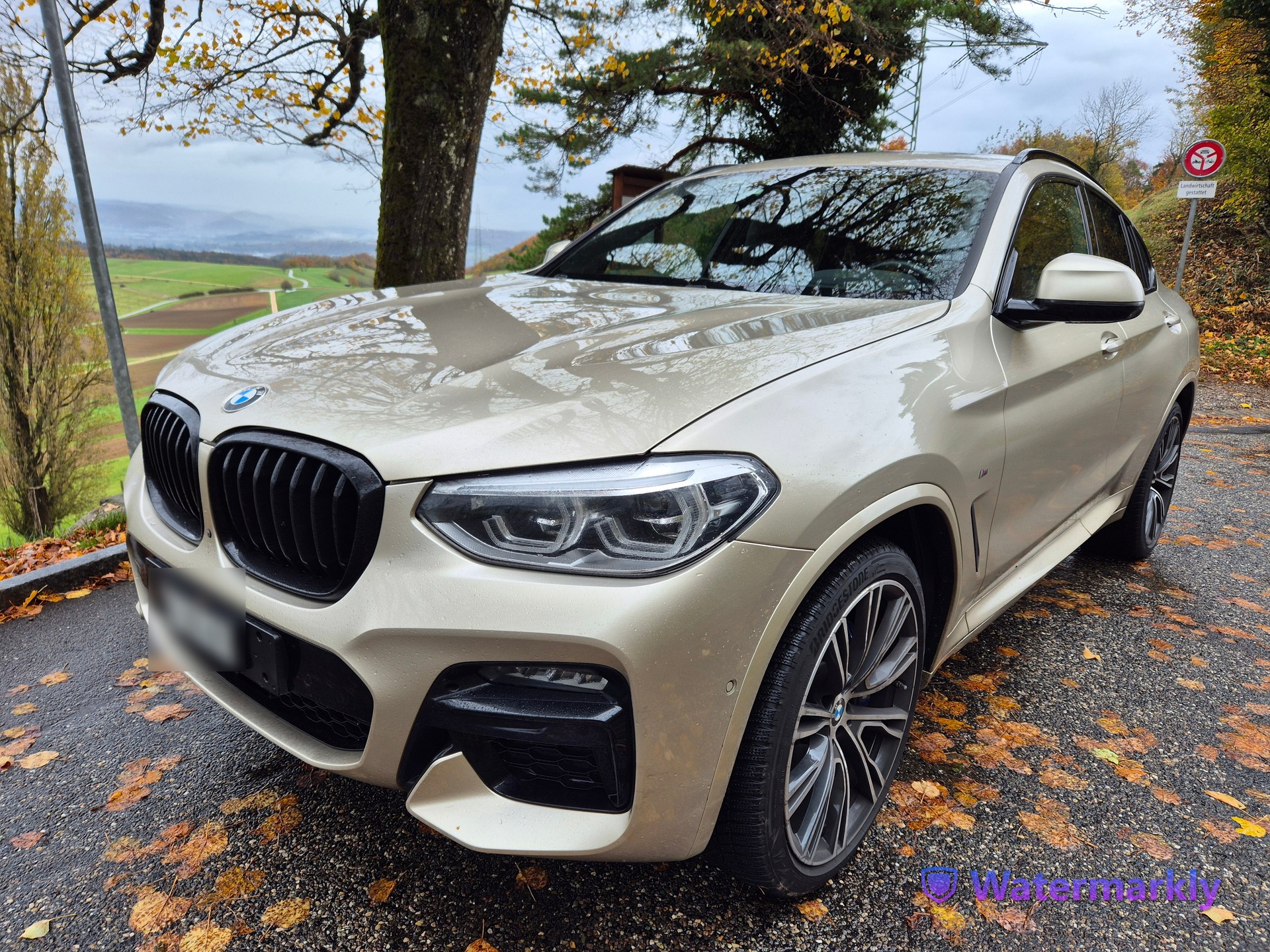 BMW X4 xDrive M40d Steptronic inkl. Garantie