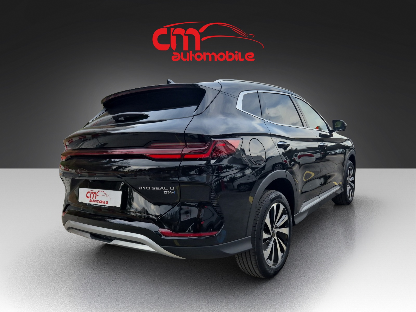 BYD Seal U DM-i Boost-image-6